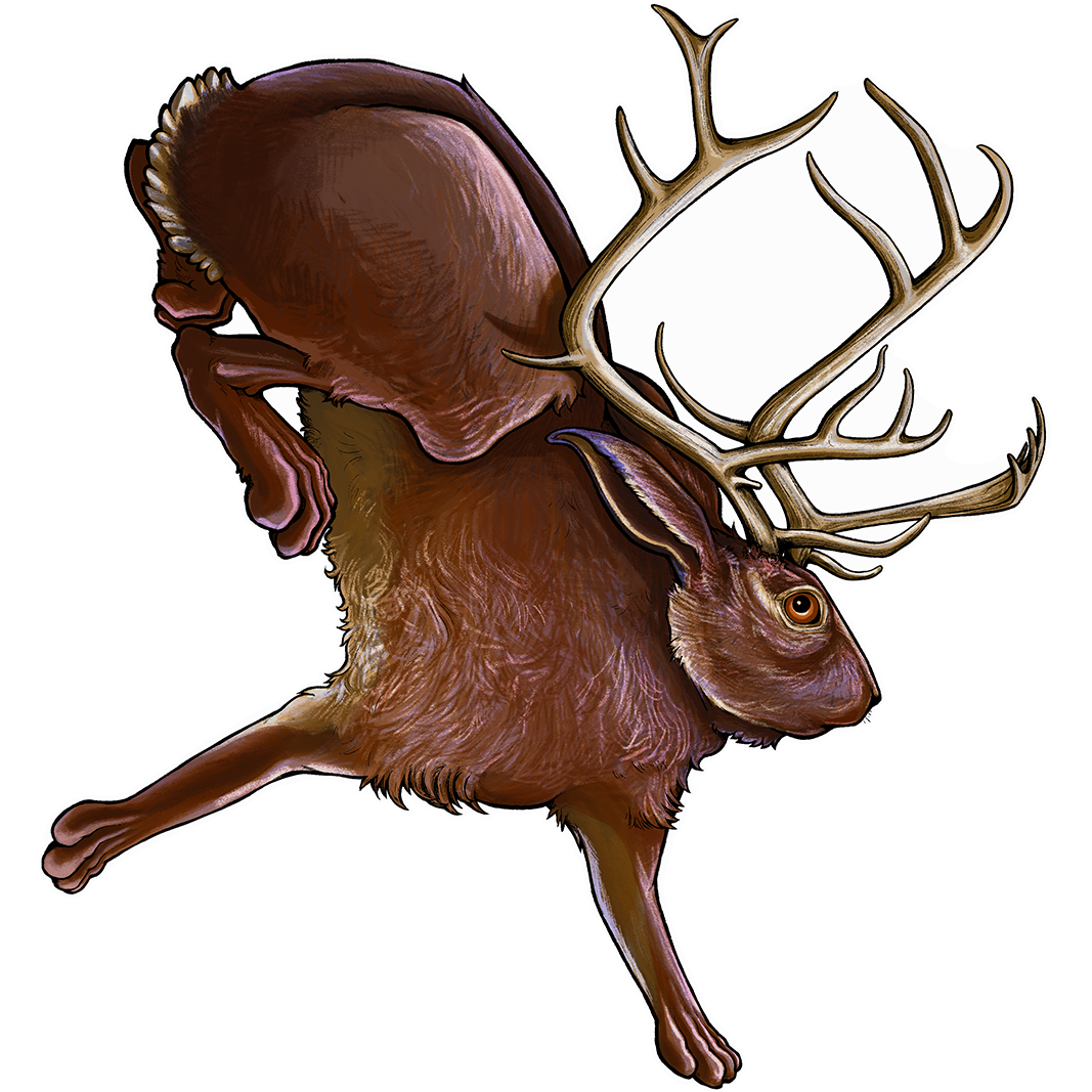 Jackalope.png