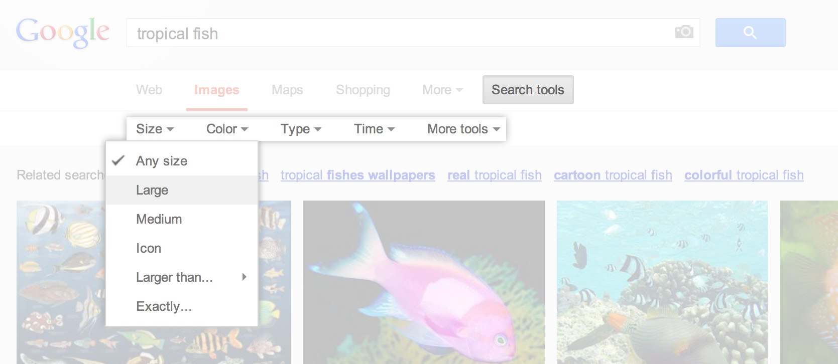 search_tools.jpg