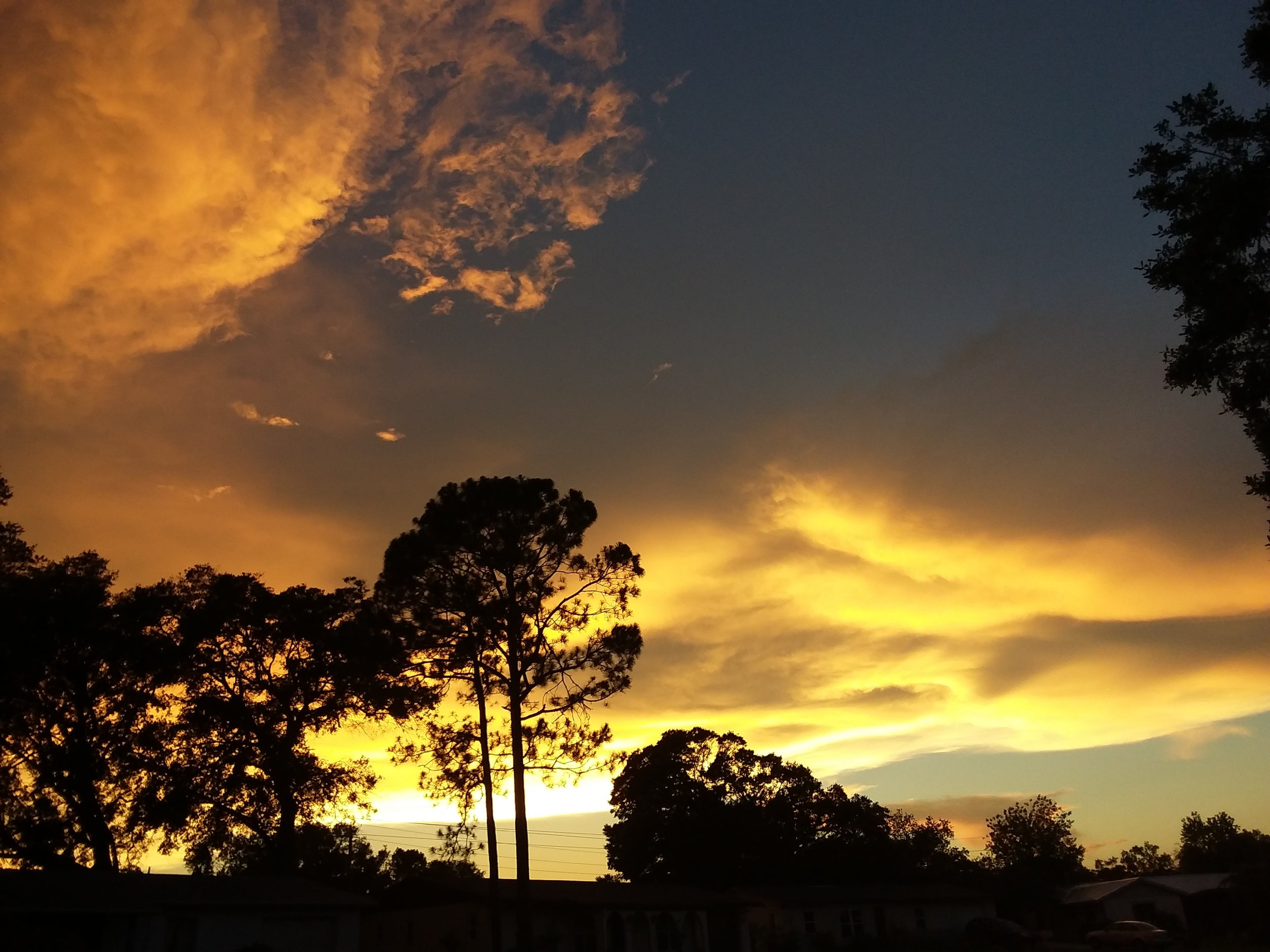 Florida sunset