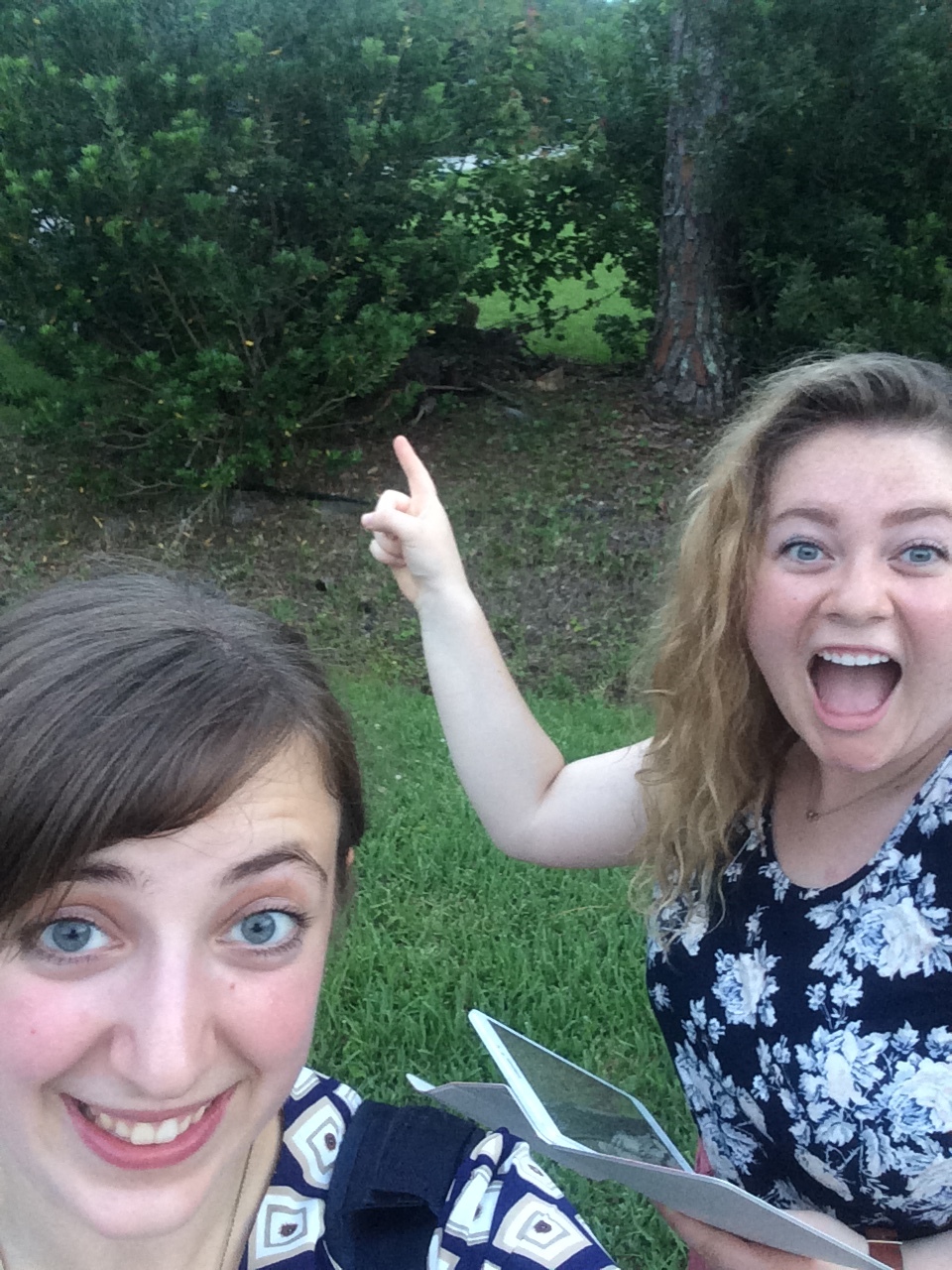 We saw an armidillo. Bad picture sorry.