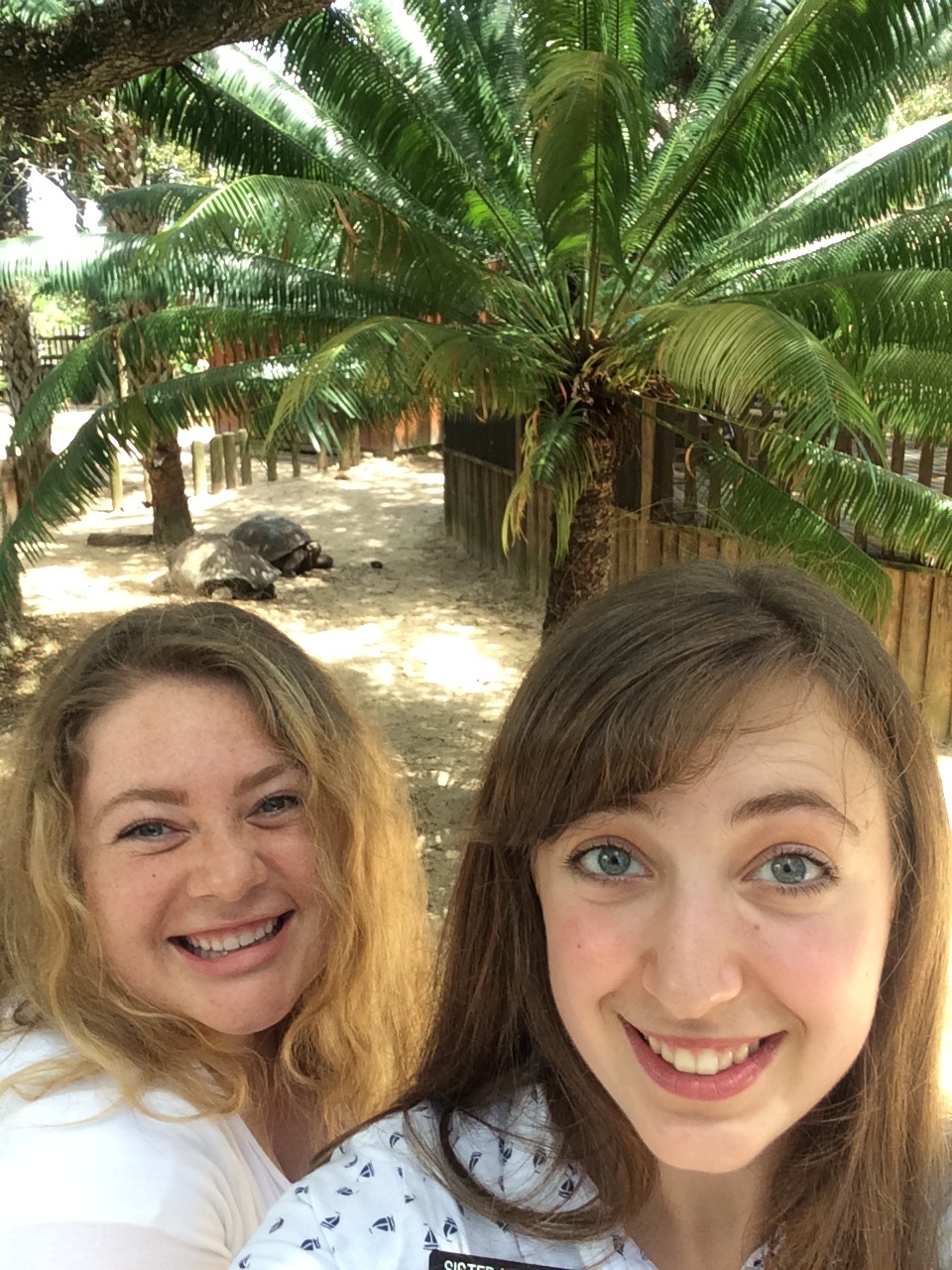 More Alligator Farm