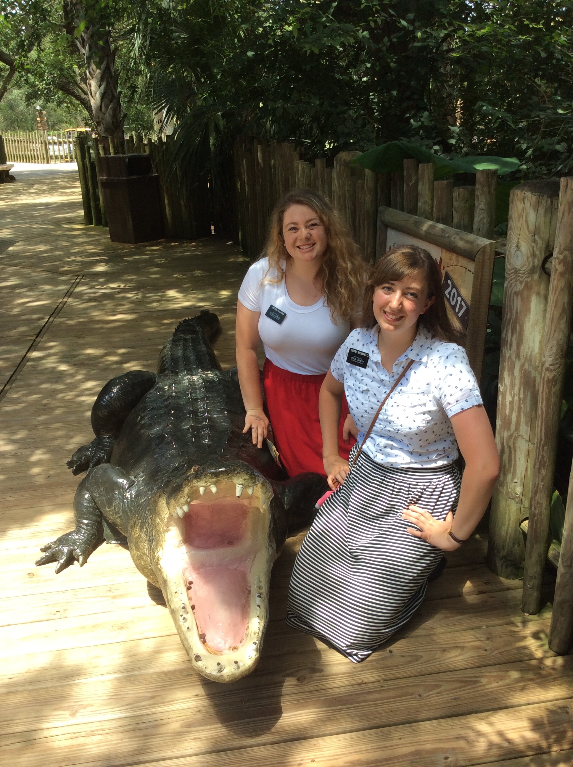 More Alligator Farm
