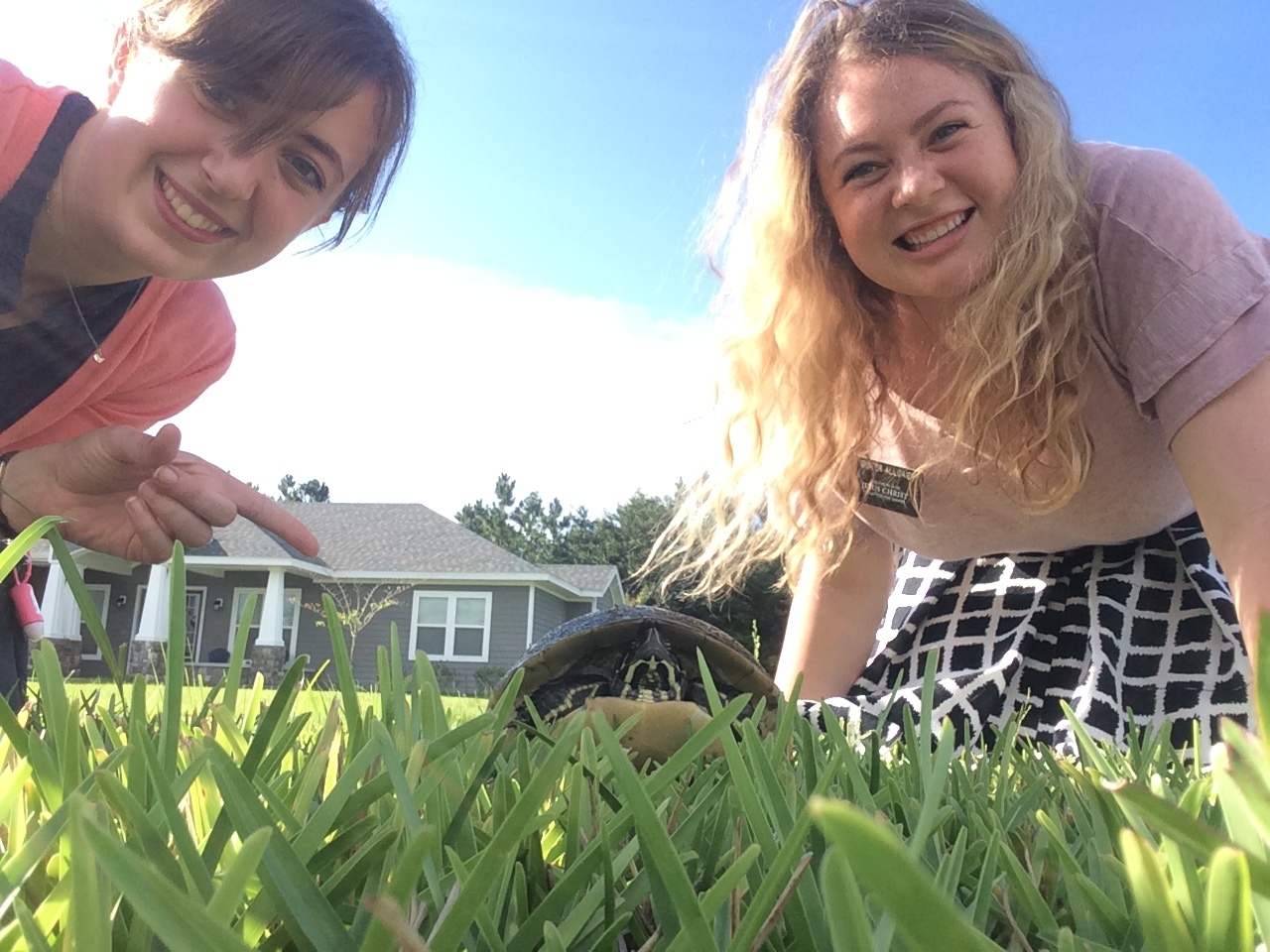 We found a turtle