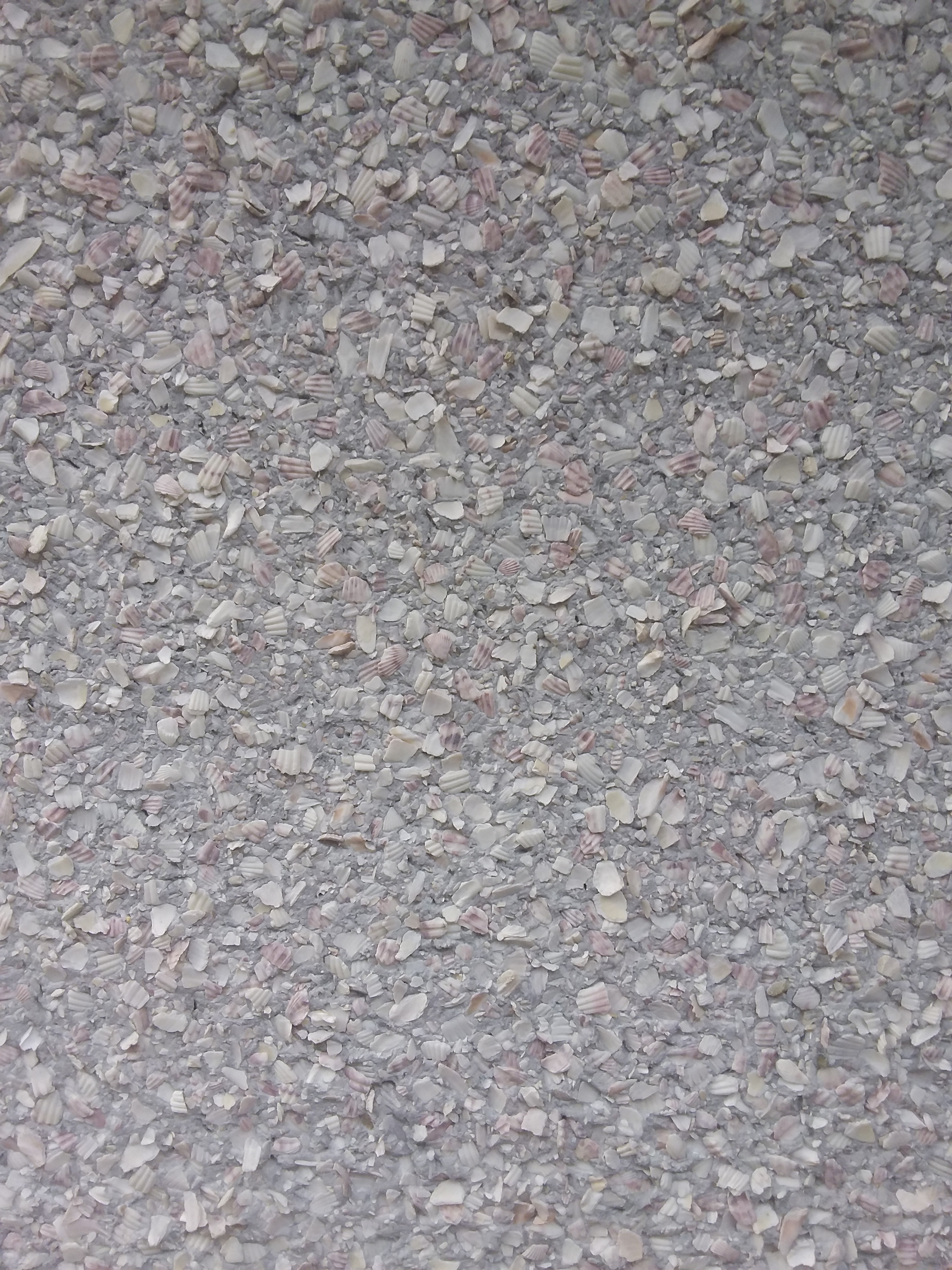 Everyone's walls are made of seashells and it's so cool!