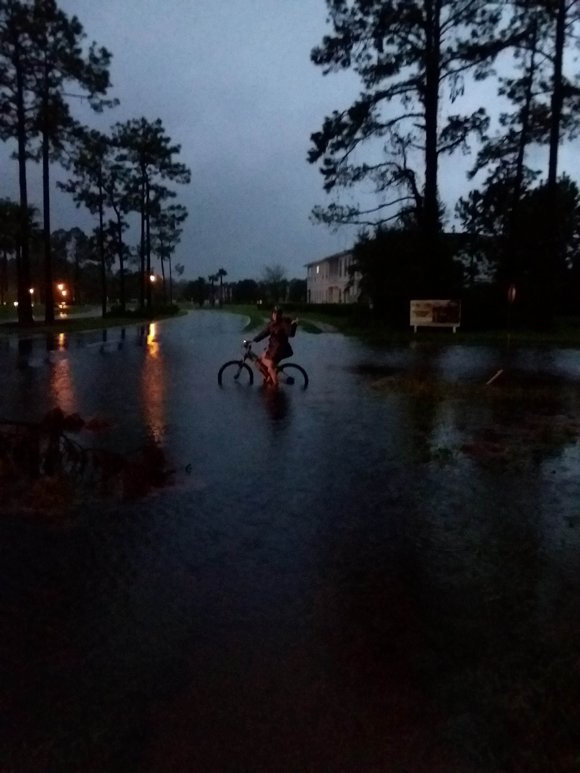 The Puddle