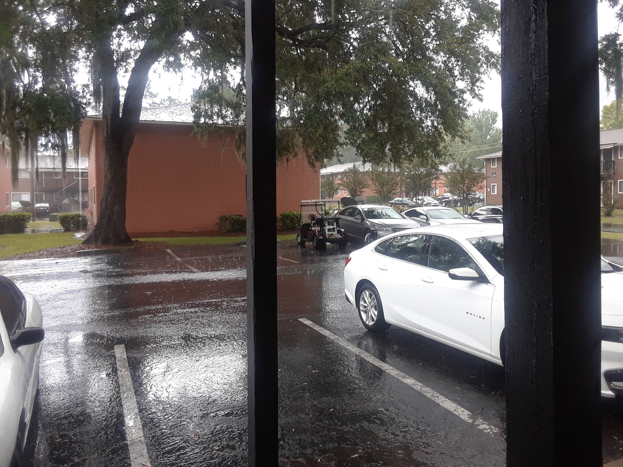 The rains came down and the floods came up πΆ