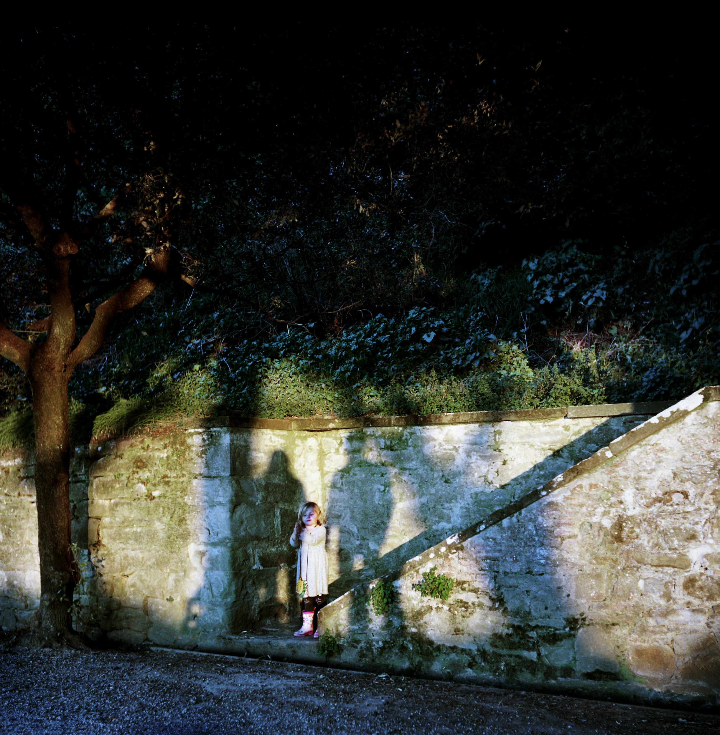  Family Shadows at dusk in the park, Cortona, Italy 