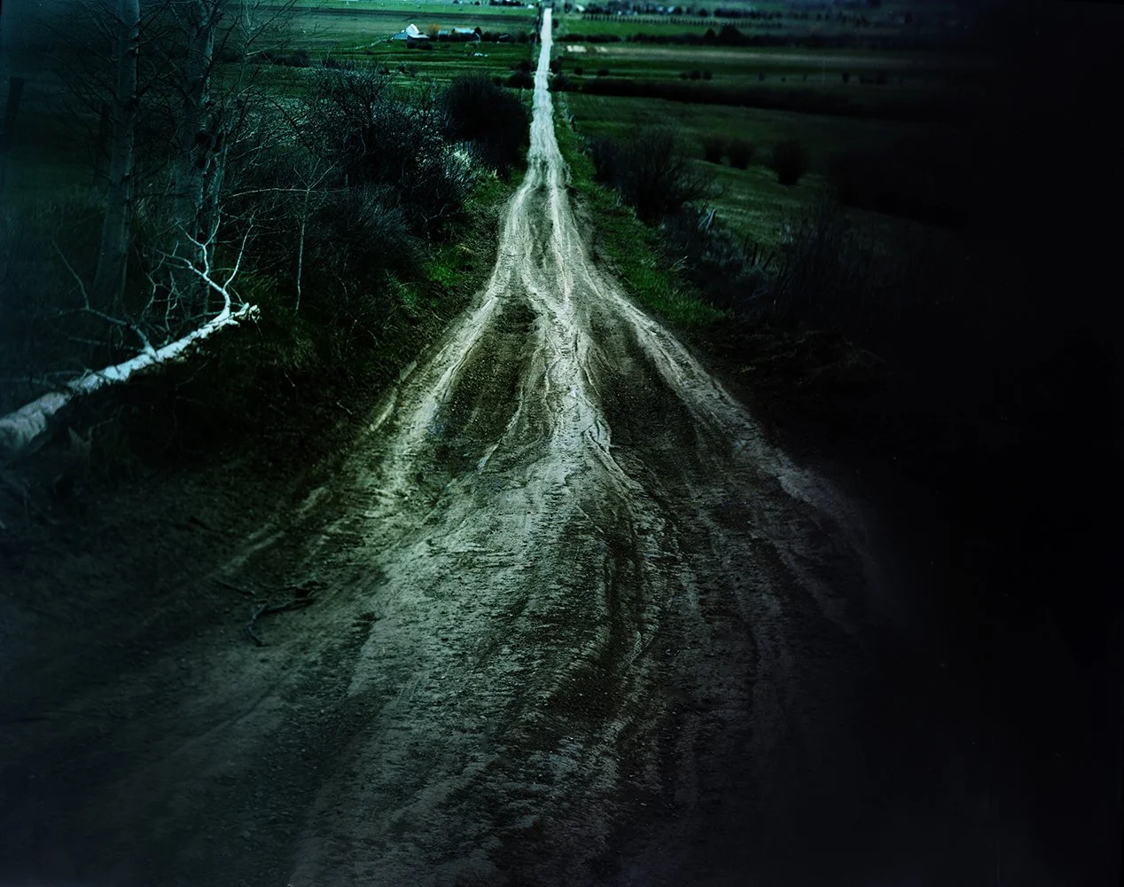  My Road Home, Victor, Idaho 