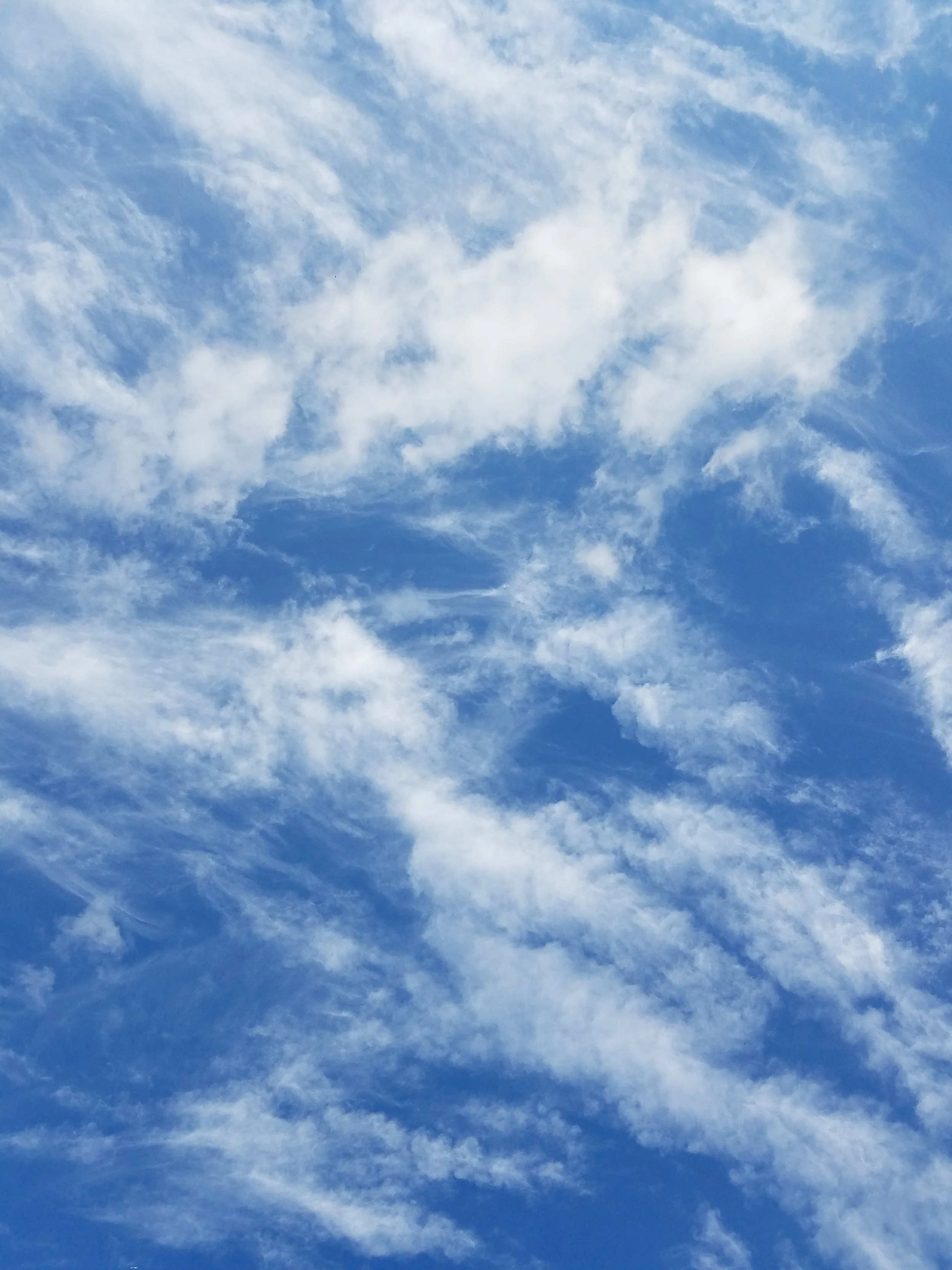 20160512_081307.jpg