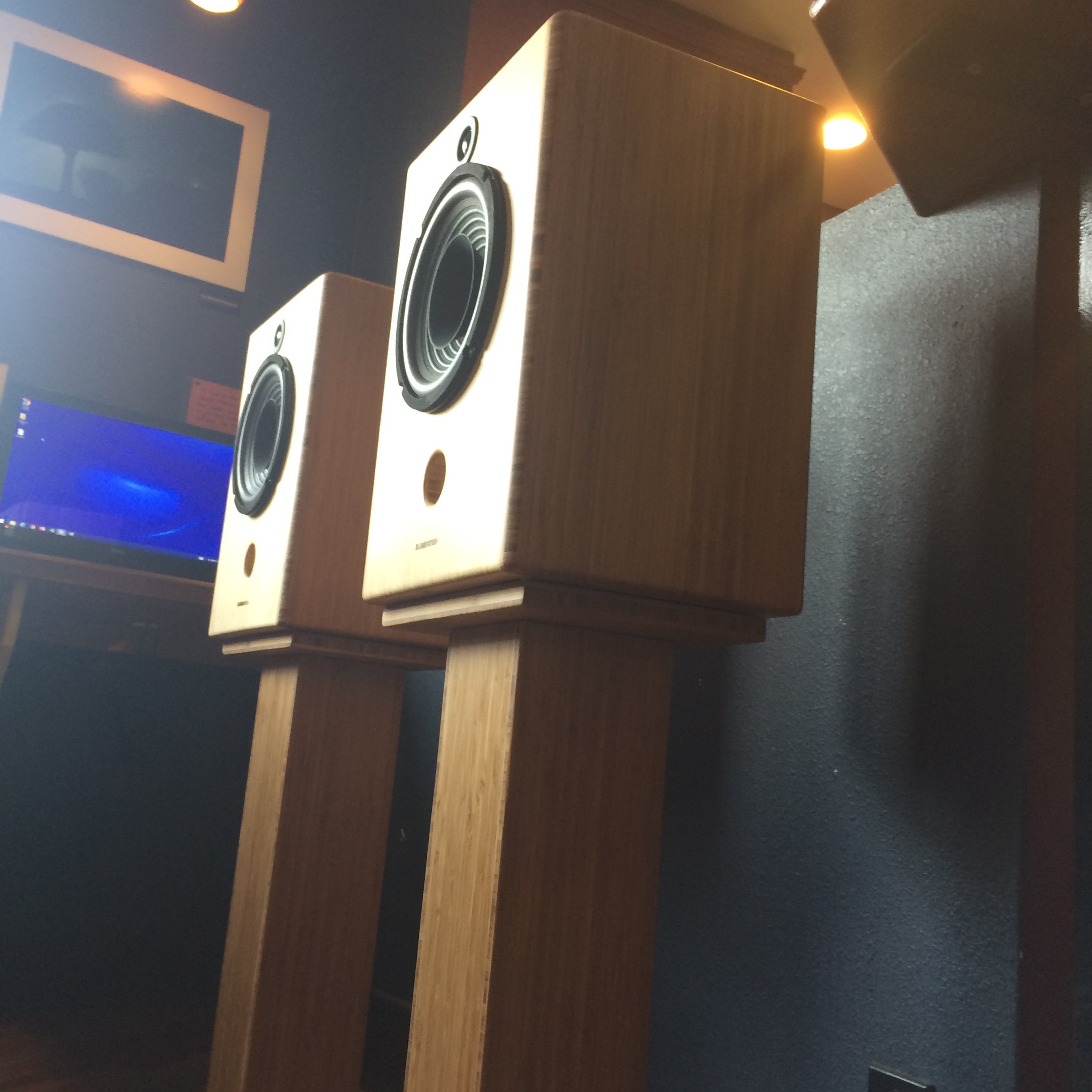 Triton Classic 8" Monitors Tune in deeper to the music— BLUMENSTEIN