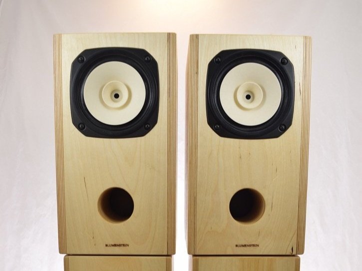Cain & Cain Abby II 6.5" Monitors
