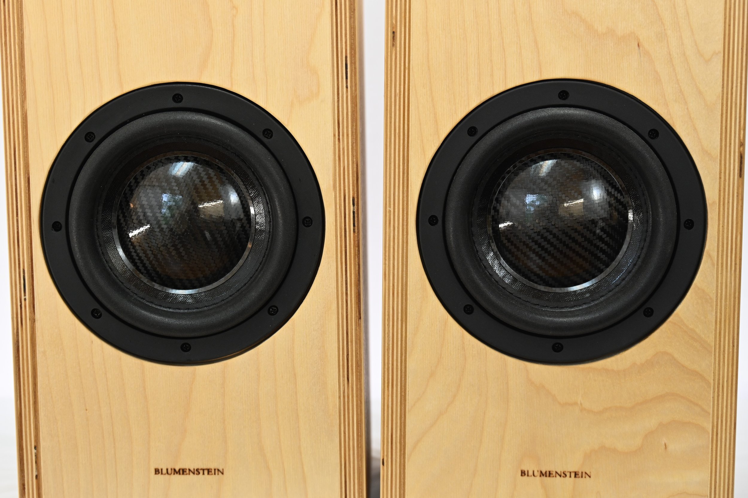 Barnacle 6.5" Active or Passive High-Output subwoofer (sold individually)