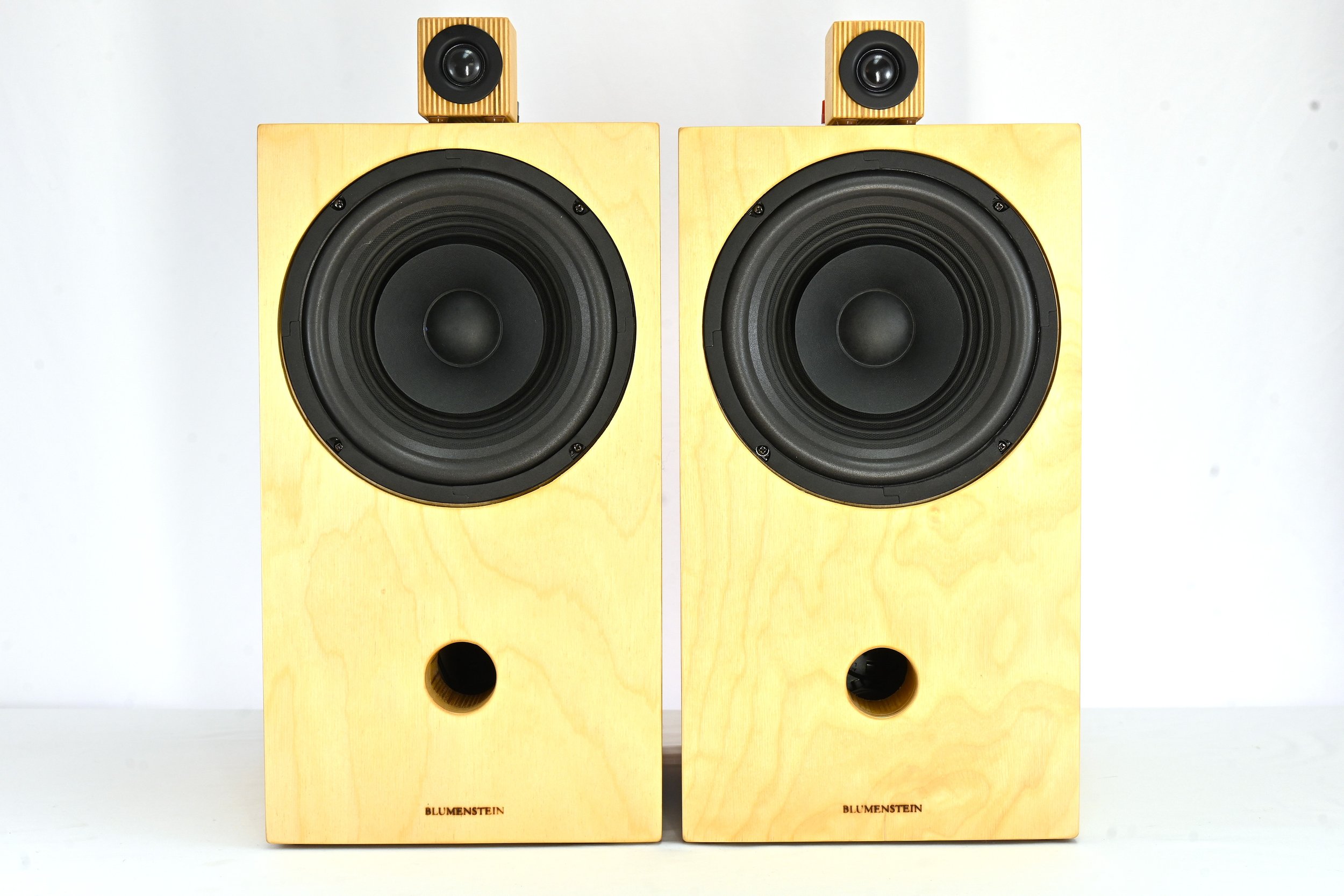 Triton II 8" Monitors with Supertweeters