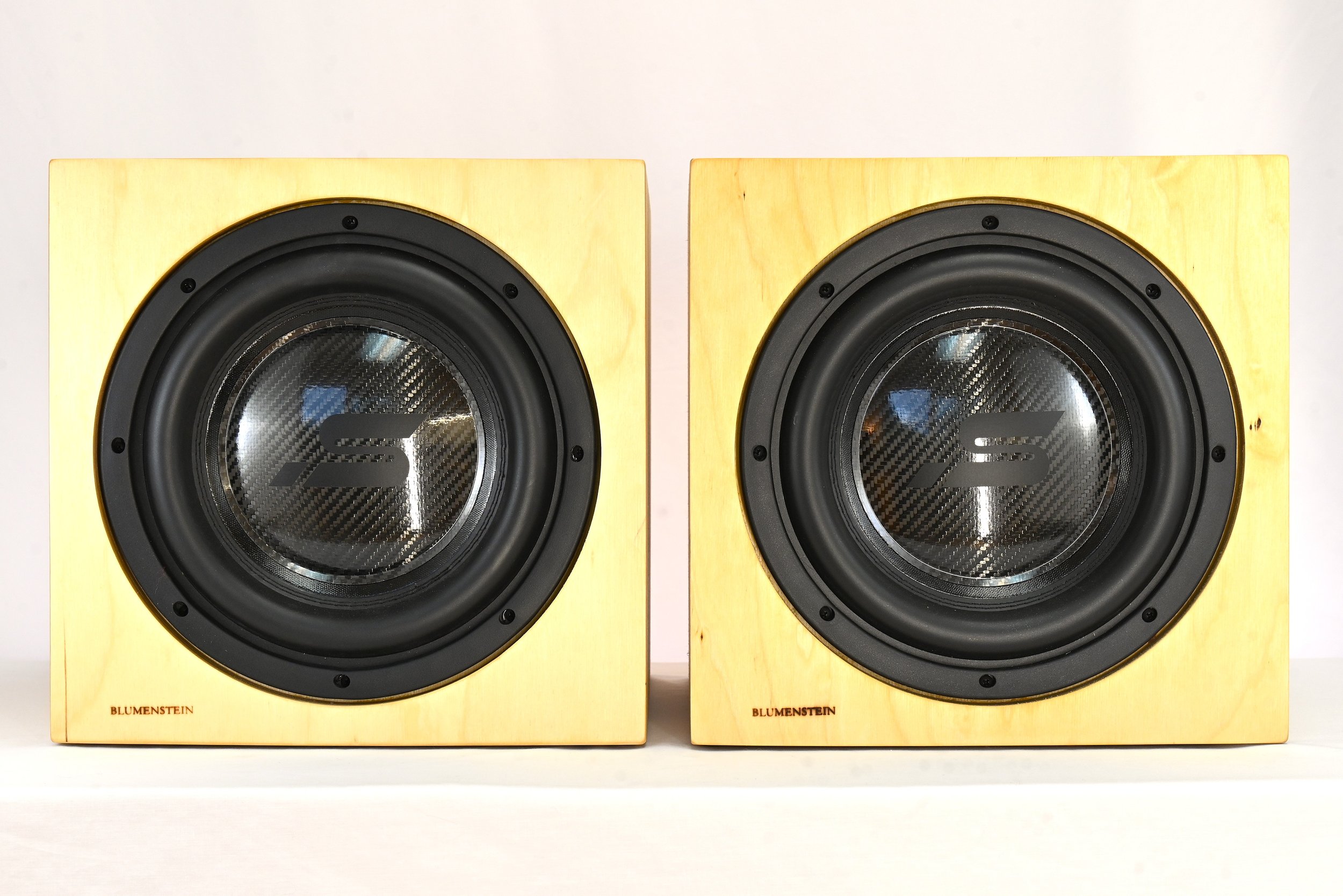 10" Vinyl Shelf Infrasonic Subwoofer