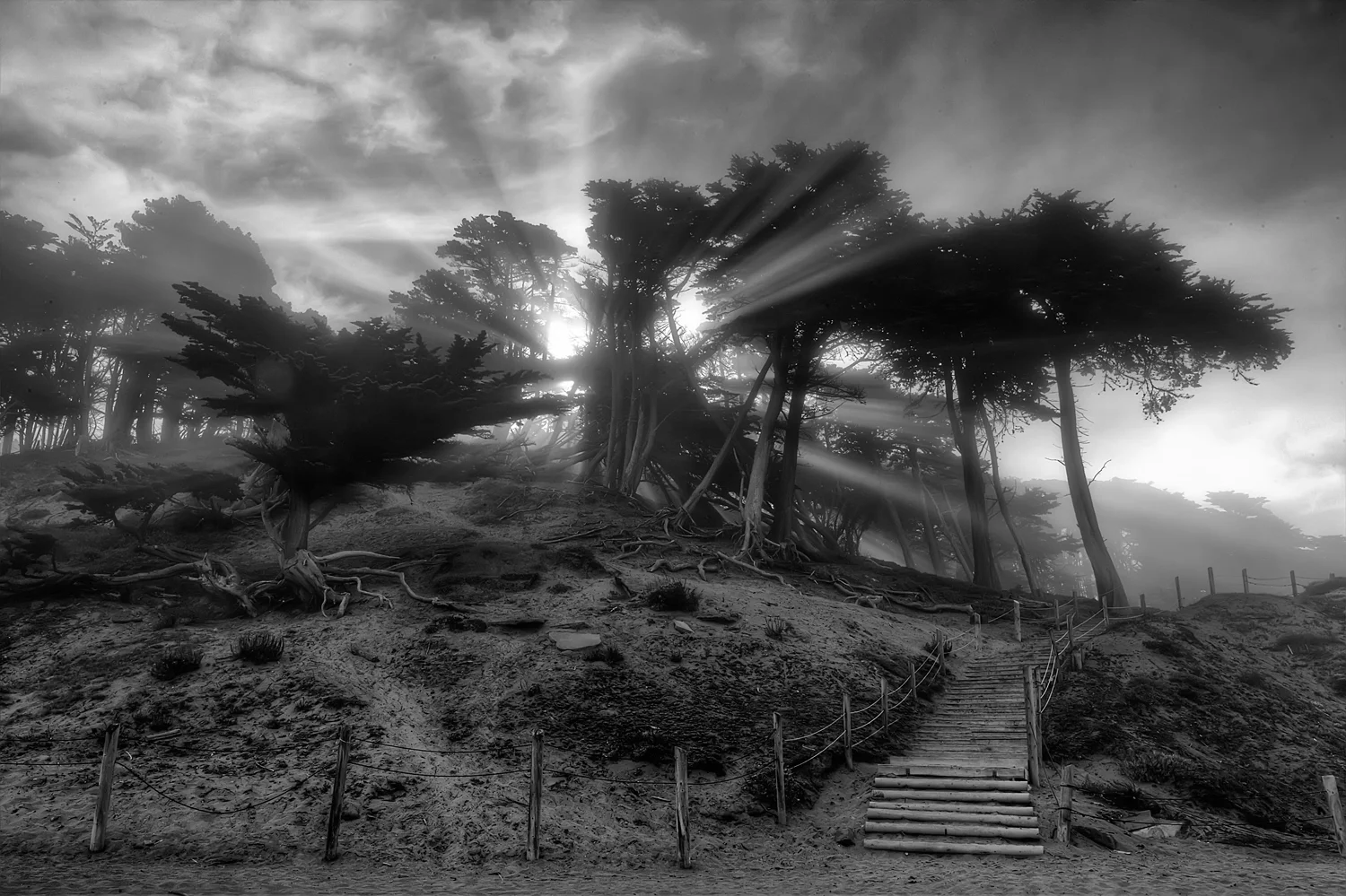 web_MG_3171_2_3_tonemapped.jpg