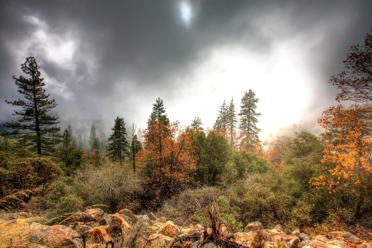 web_MG_2644_5_6_tonemapped.jpg