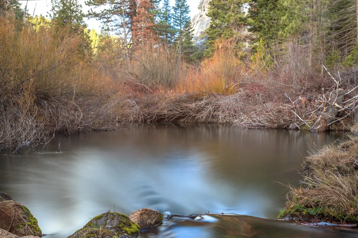 _MG_8166.jpg