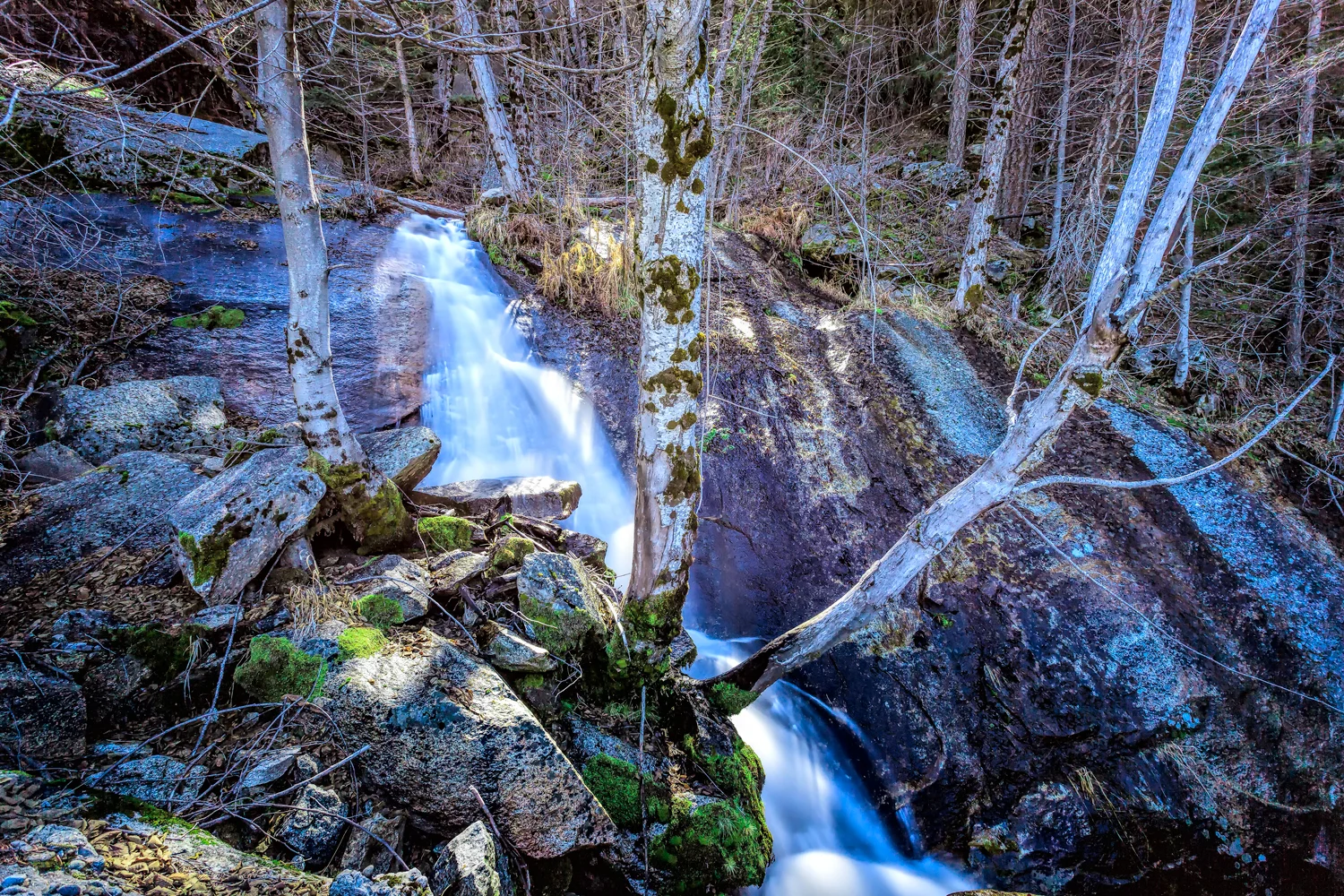 _MG_8174.jpg