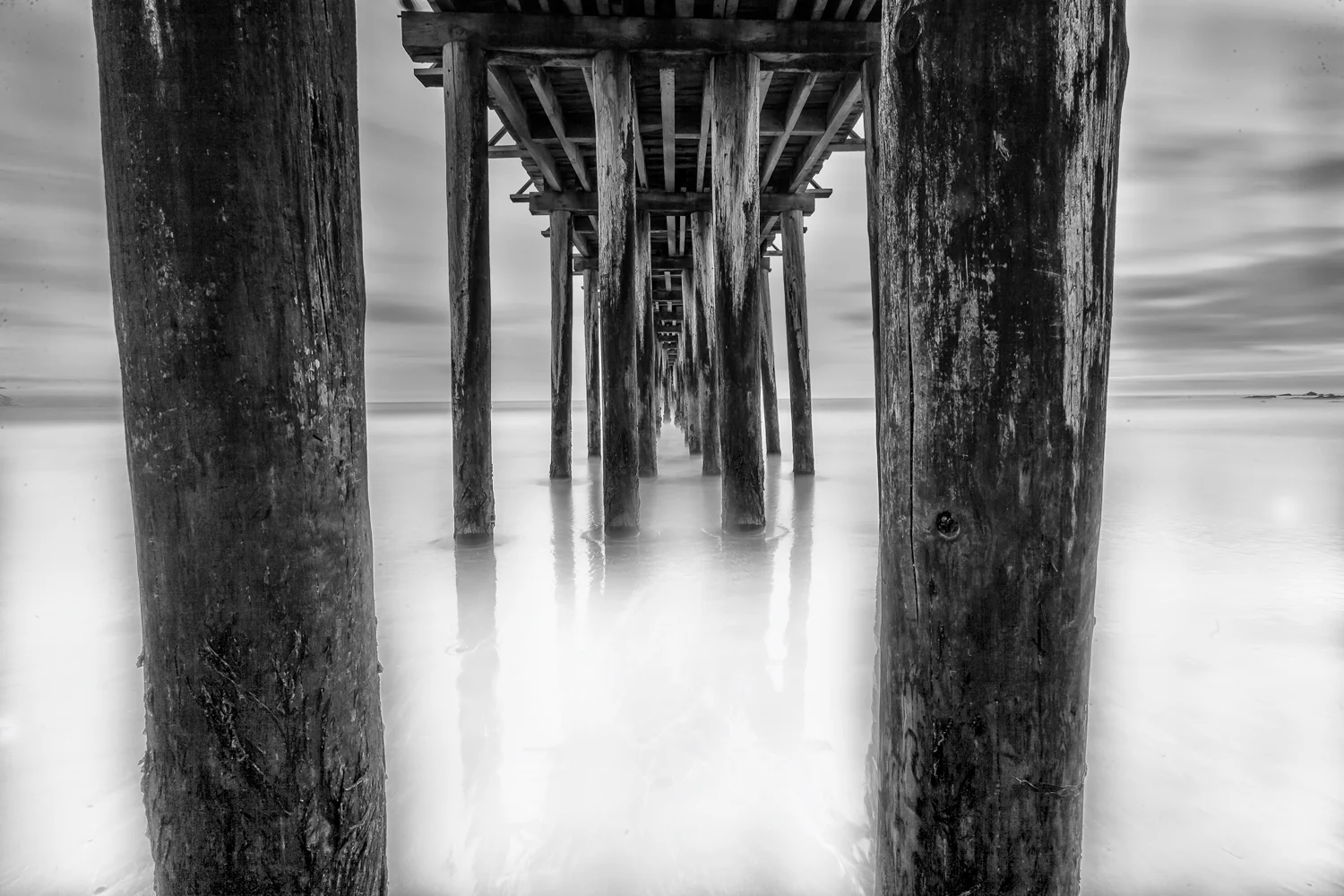 webdarklightbrushmilkypier_MG_8732-copy.jpg