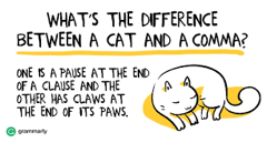 Sentence clause phrase.jpeg