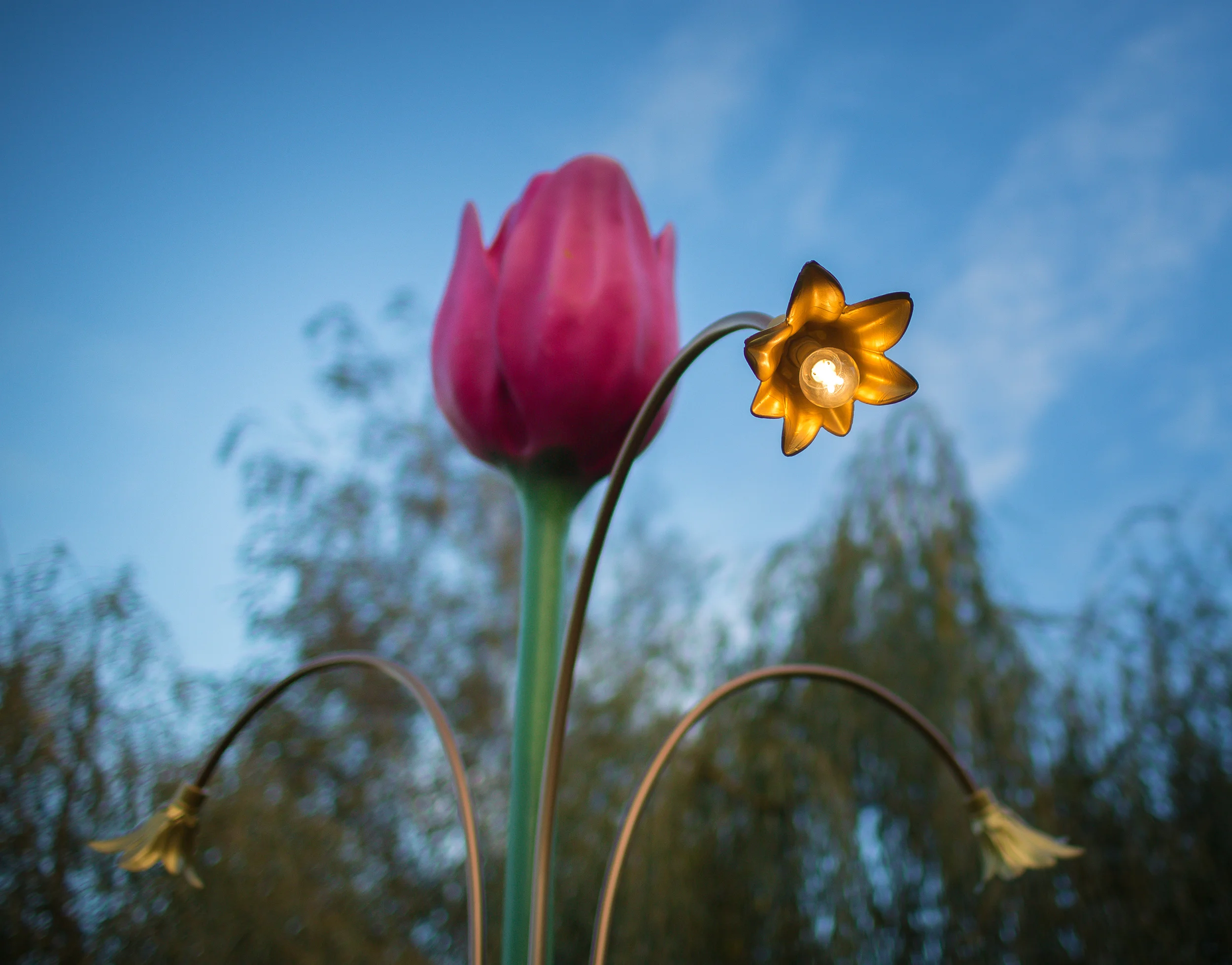 FOSFOR Flowerbin-1094.jpg