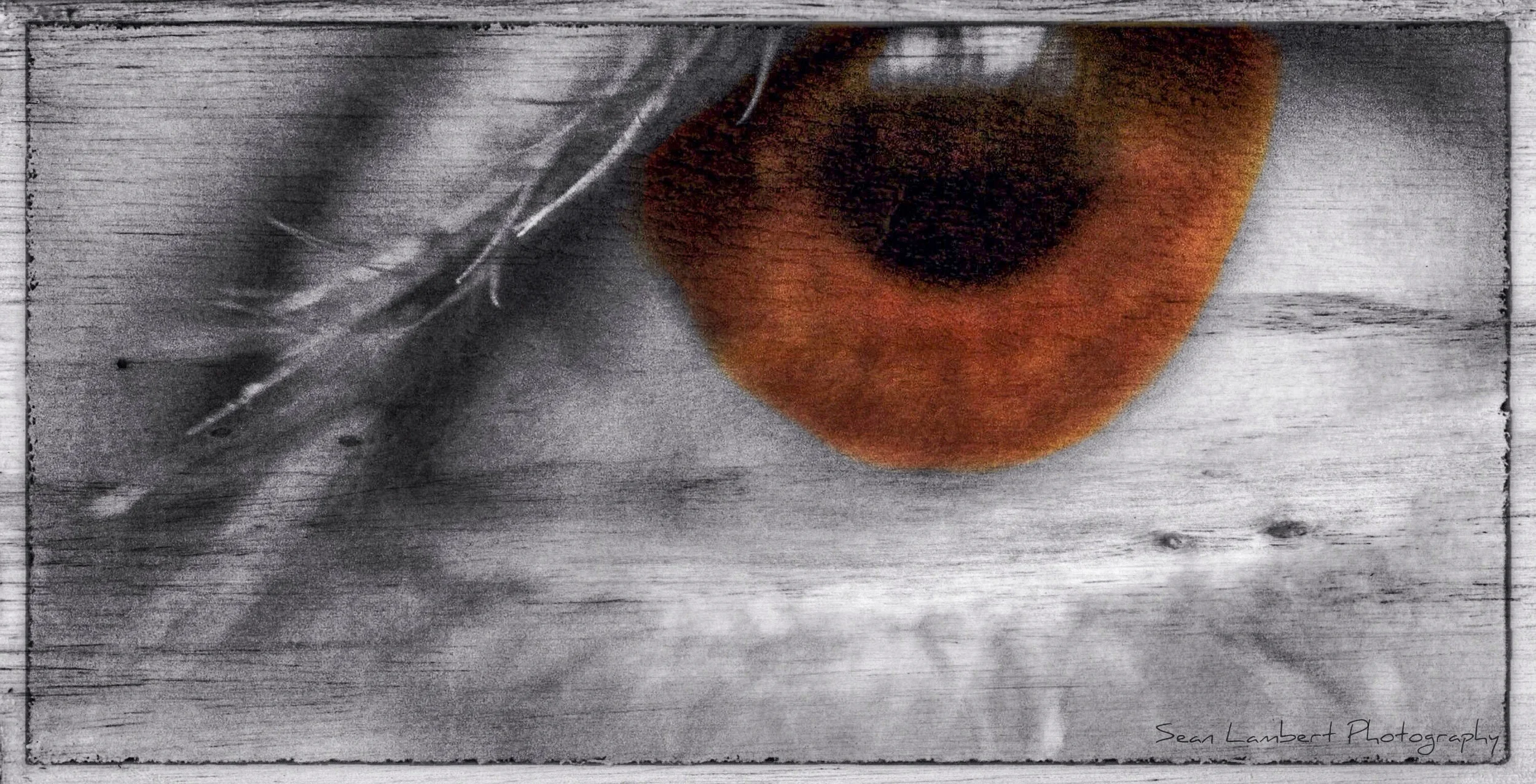 2012-10-05 23.49.52.jpg