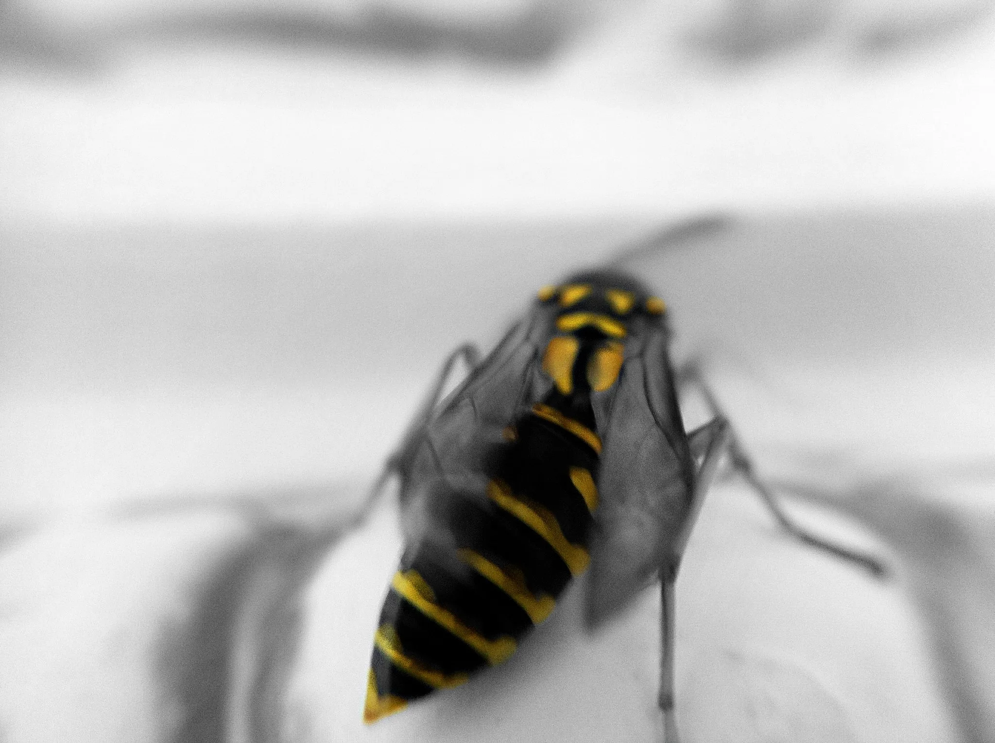 2012-10-05 23.12.15.jpg