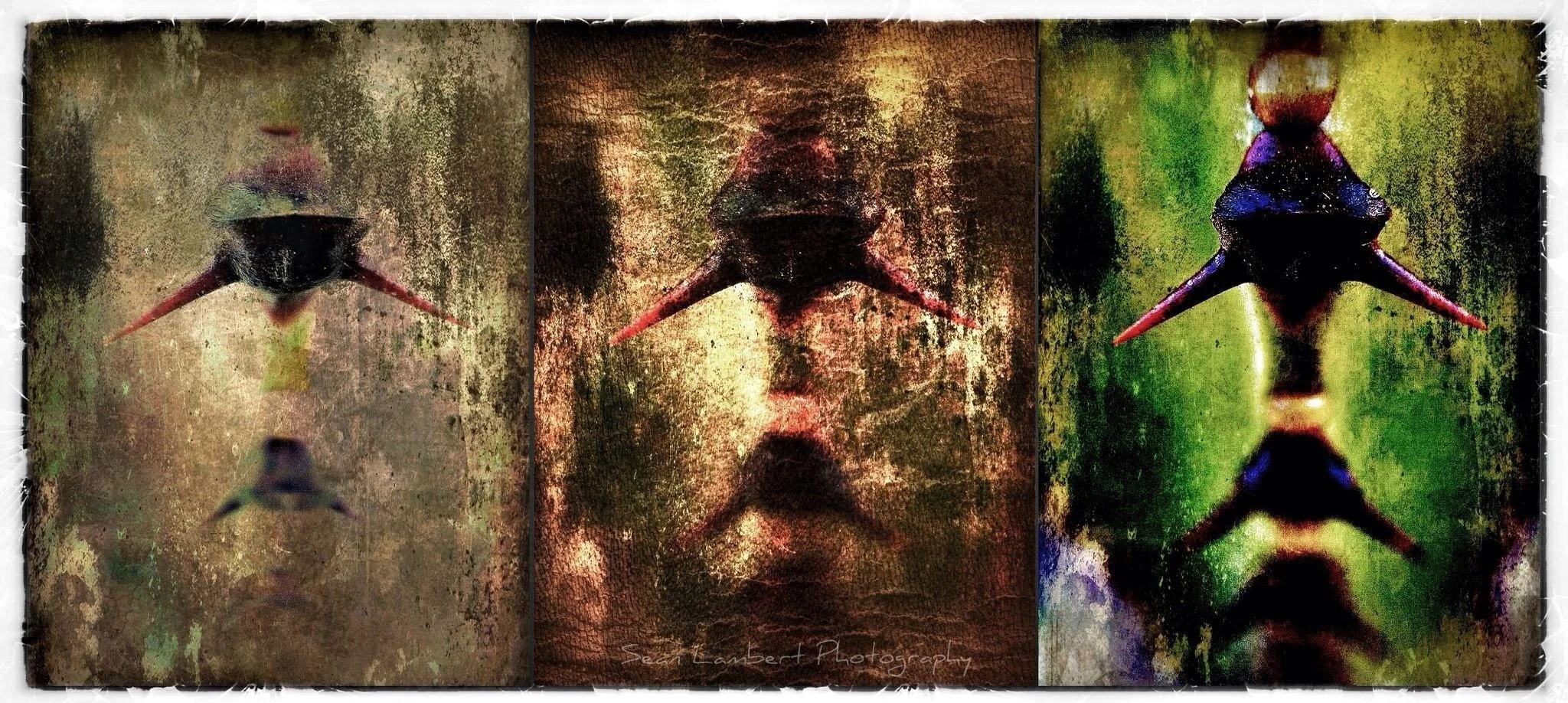 2012-10-10 19.03.46.jpg