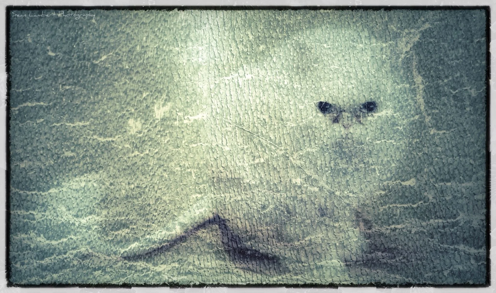 2012-10-03 10.30.37.jpg