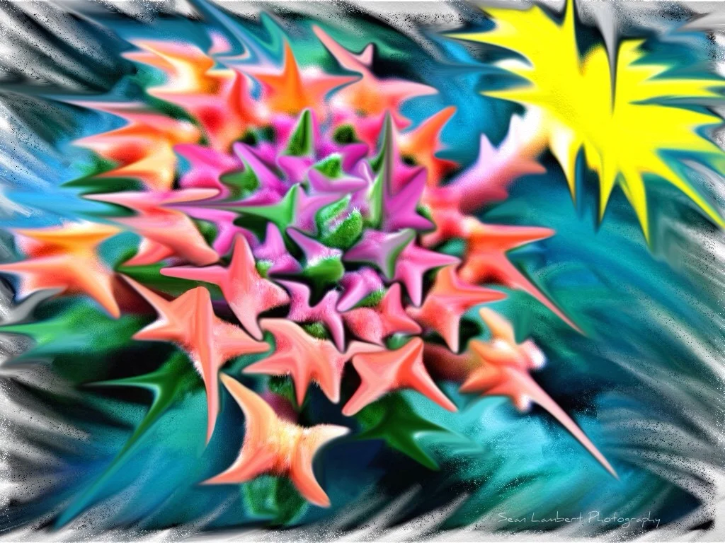 2012-09-06 01.58.01.jpg