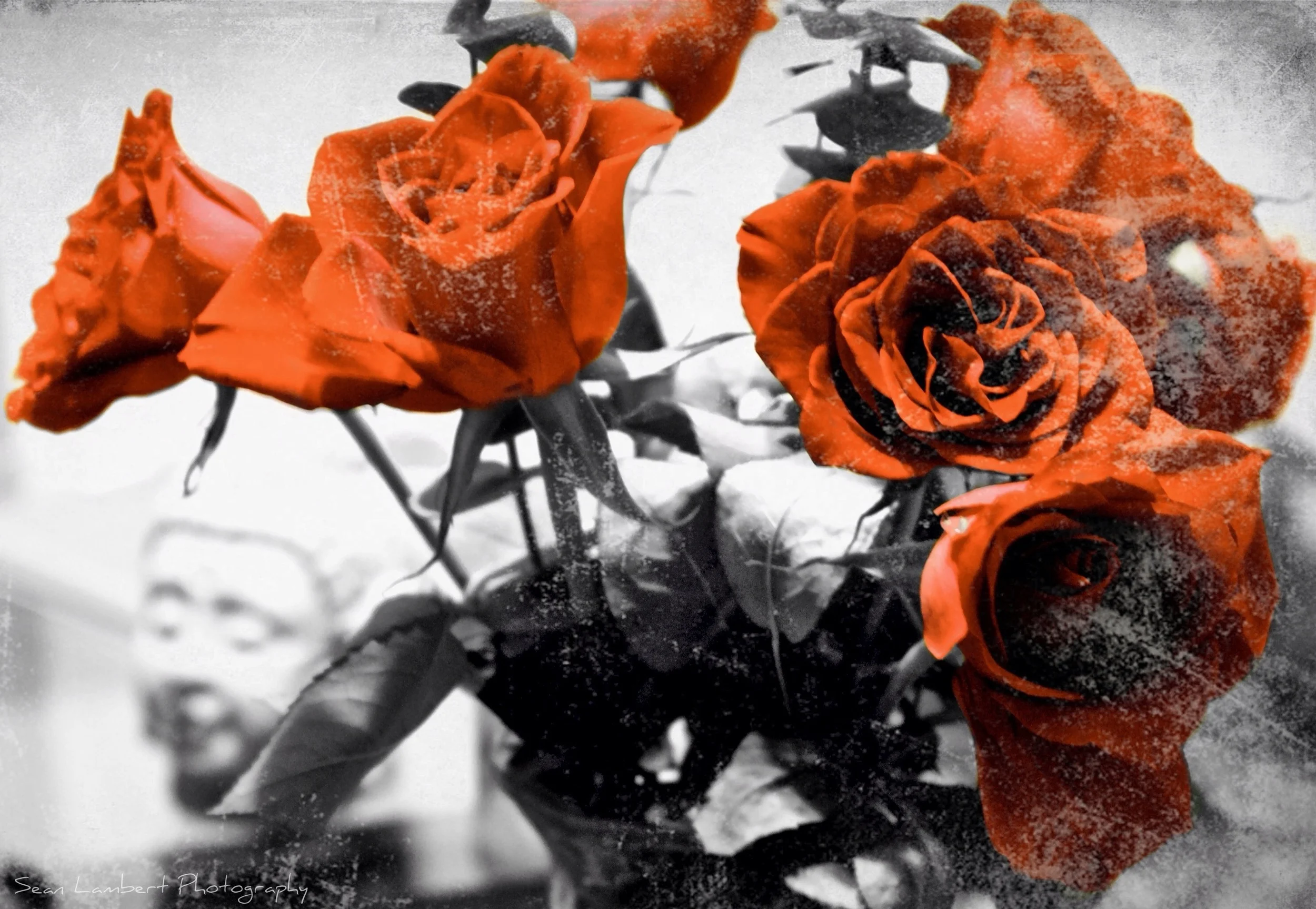 2012-08-28 23.52.47.jpg