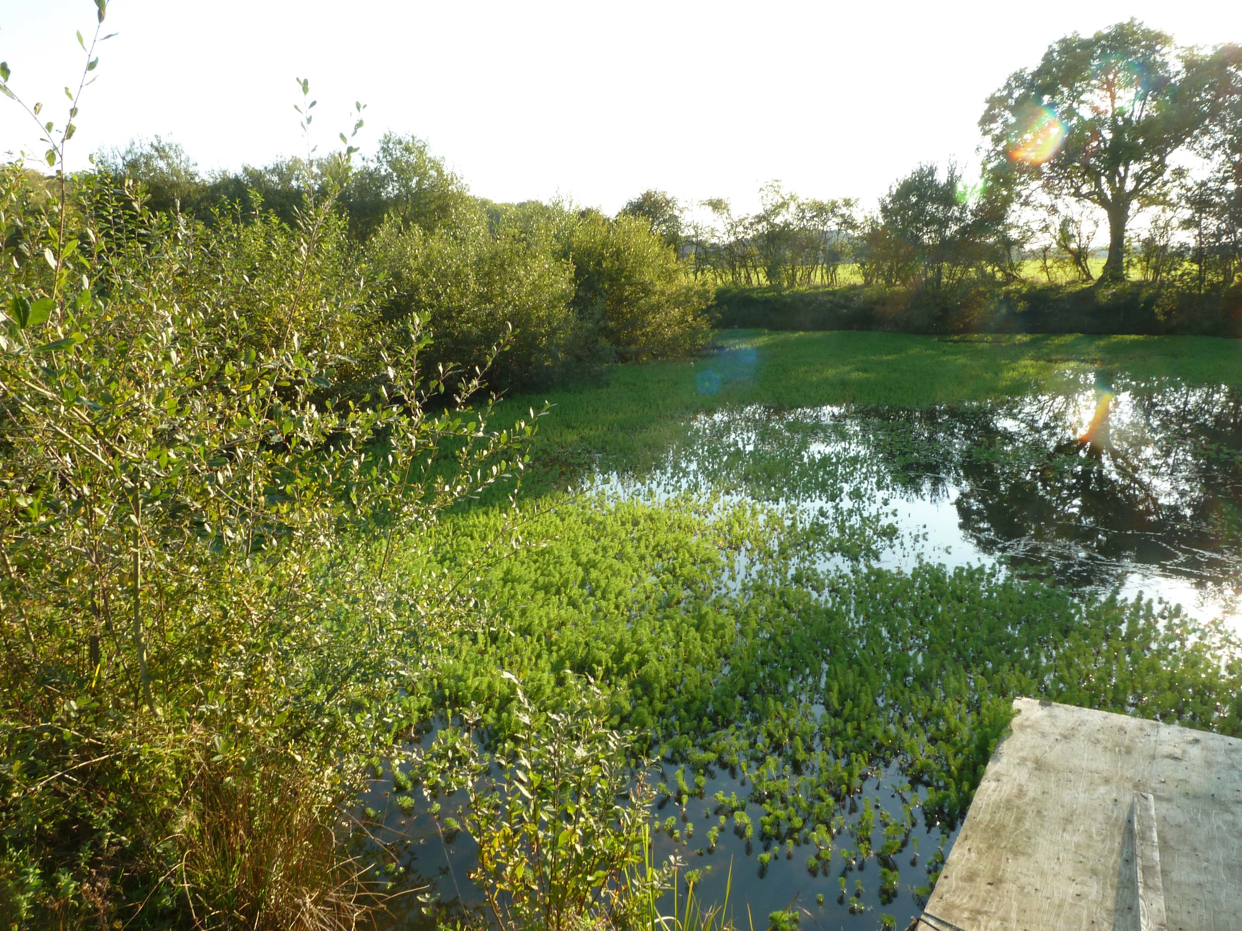 P1060825.jpg