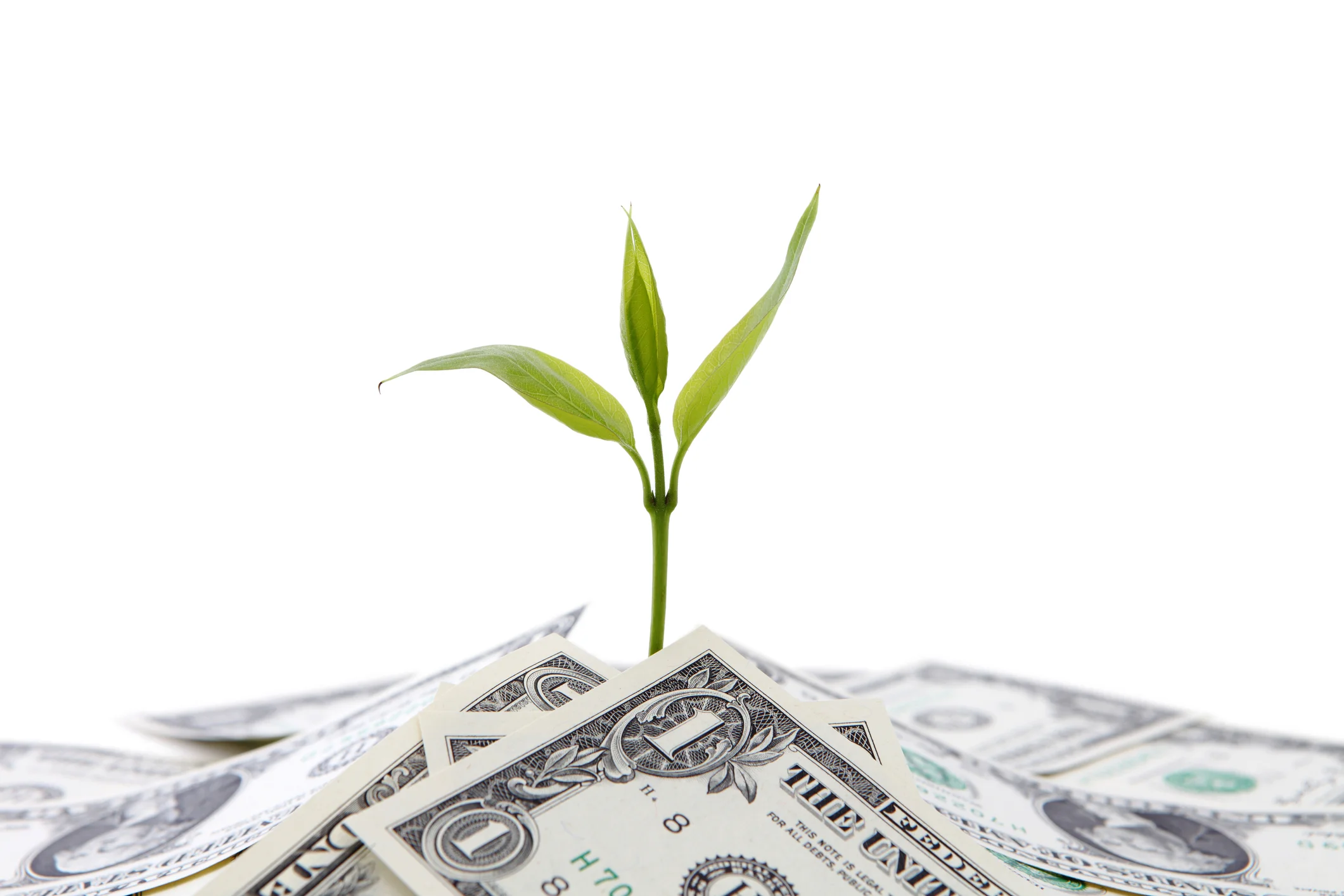 We make small investments in return for small stakes in the companies we fund