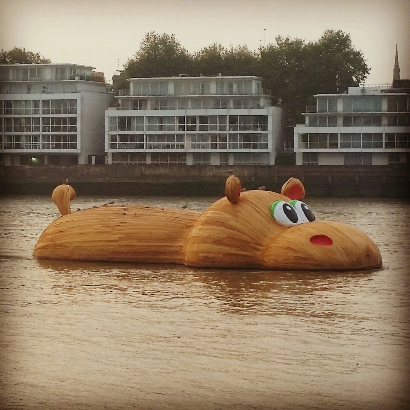 From Florentijn Hofman, the Dutch artist who brought the world the giant Rubber Duck (my favorite), here is the 69-feet-long HippopoThames .