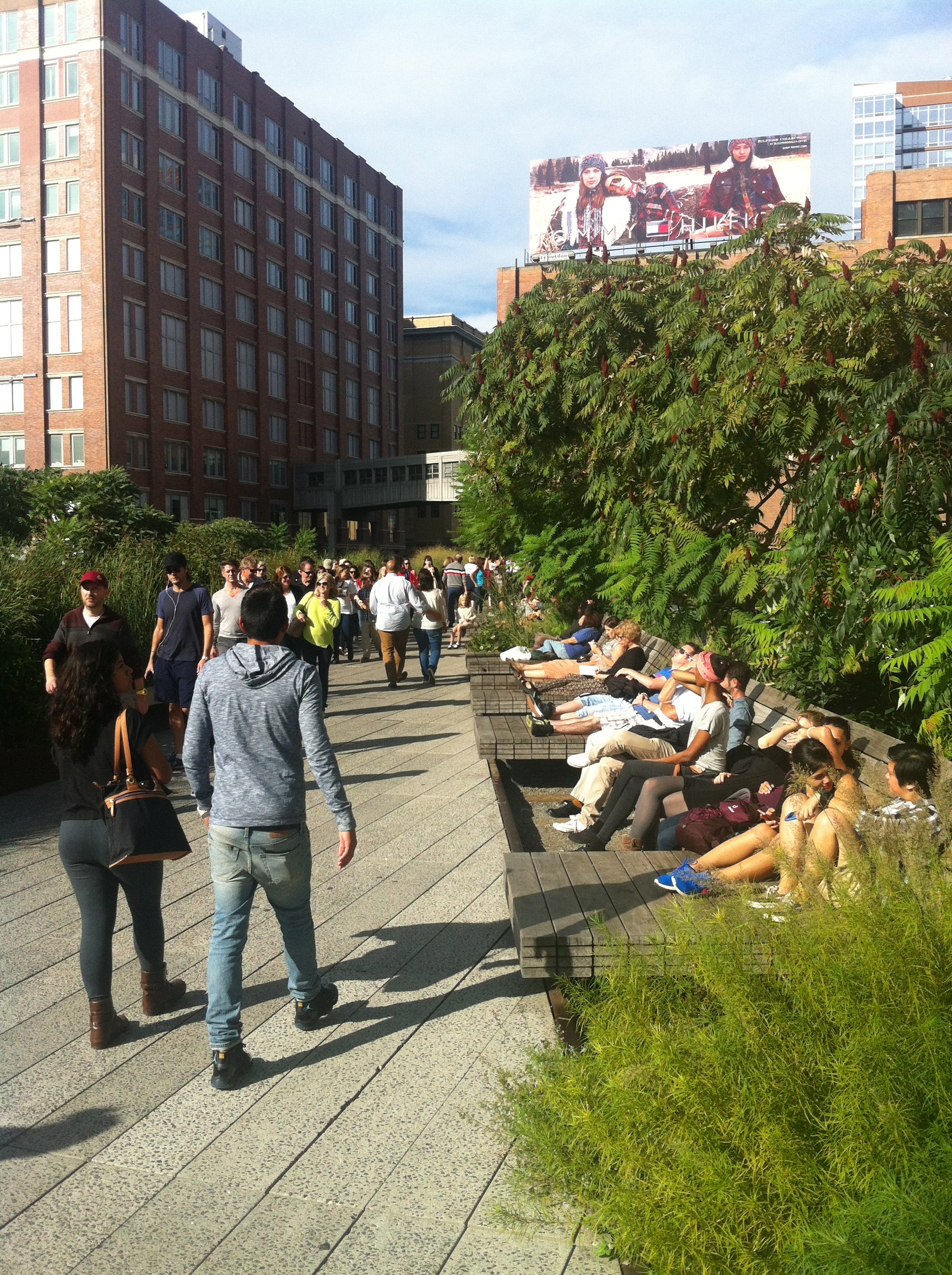 People like sitting in the sun. Thanks, Diane!