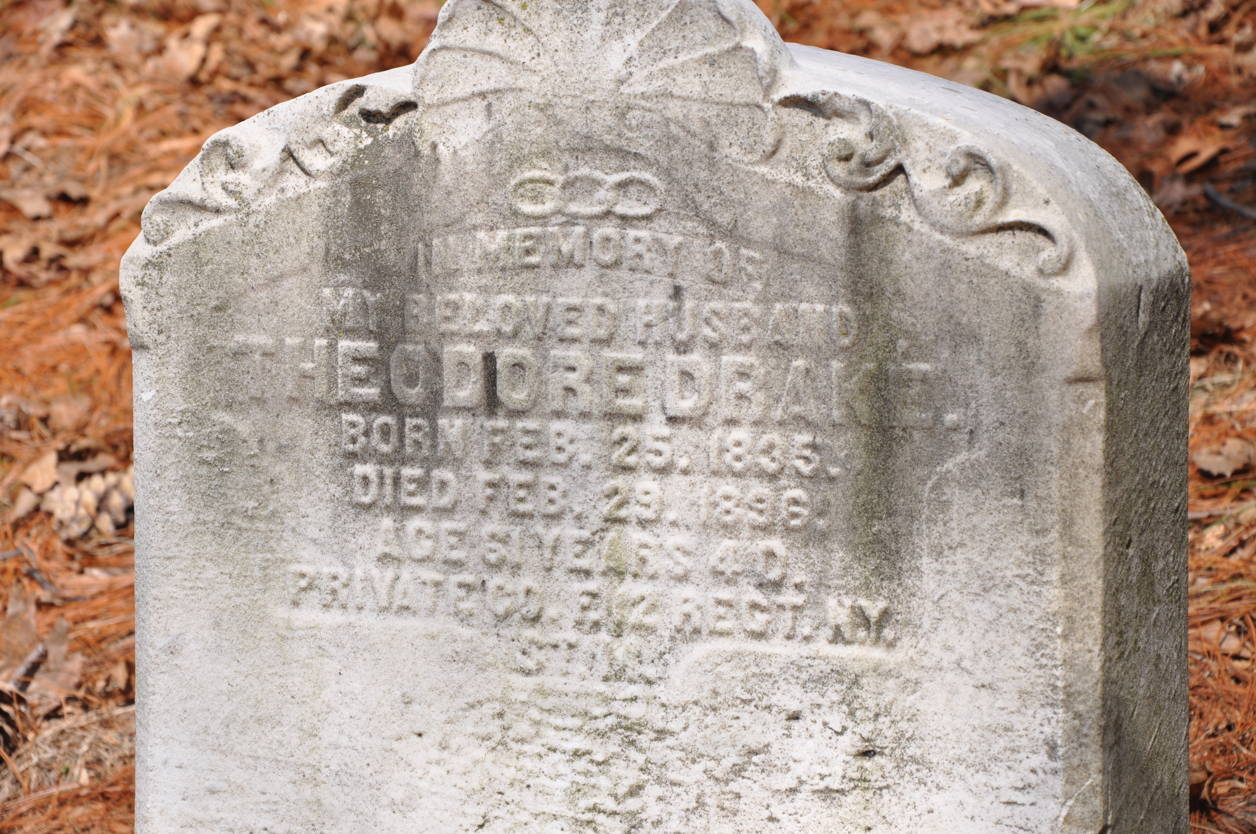 Theodore's tombstone in Greenwood Cemetery.