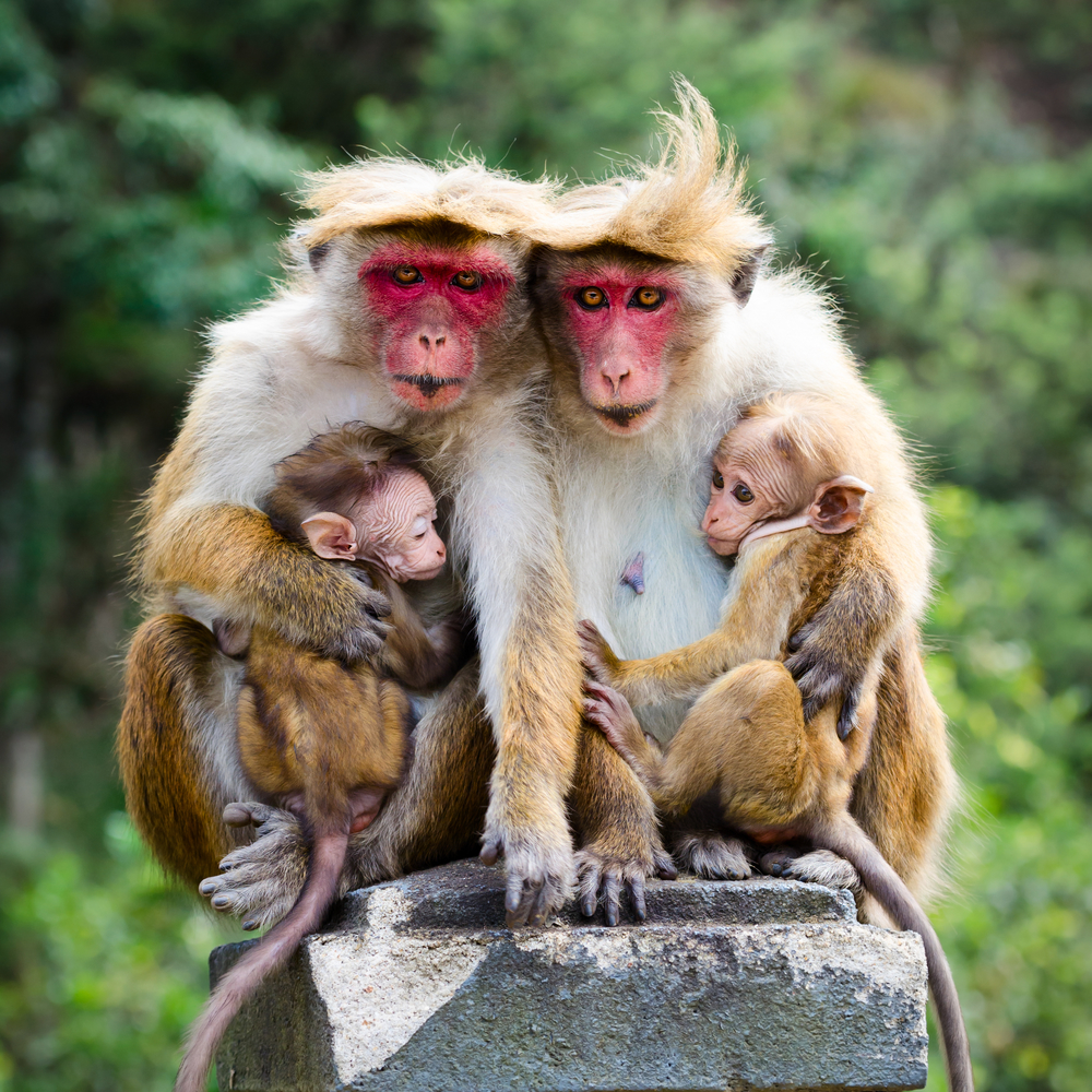 "You're telling us that we packed our bags and bought tickets and made reservations and we can't come to the US? Sorry kids, stay-vacation!"
