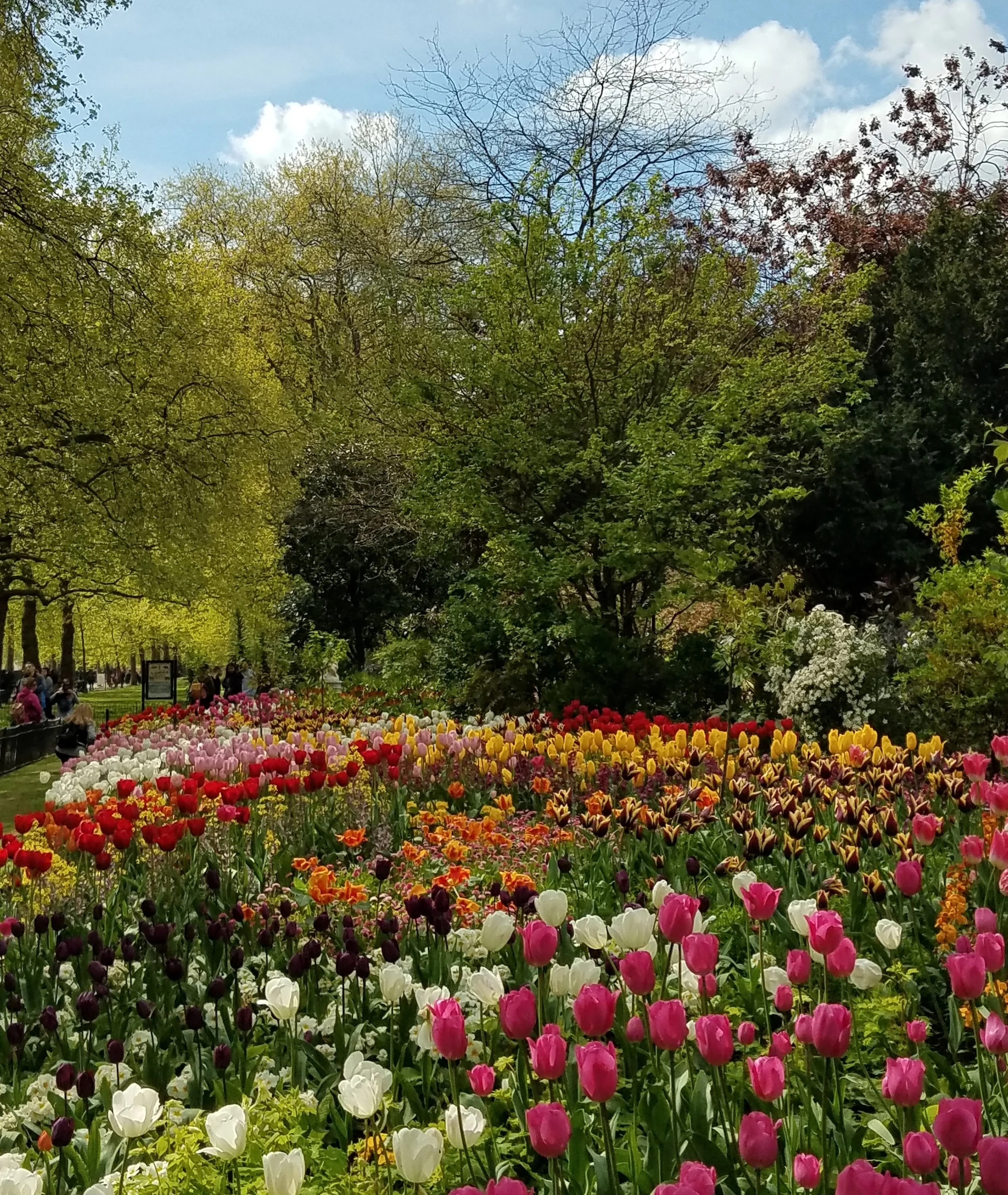 St James's Park in London.