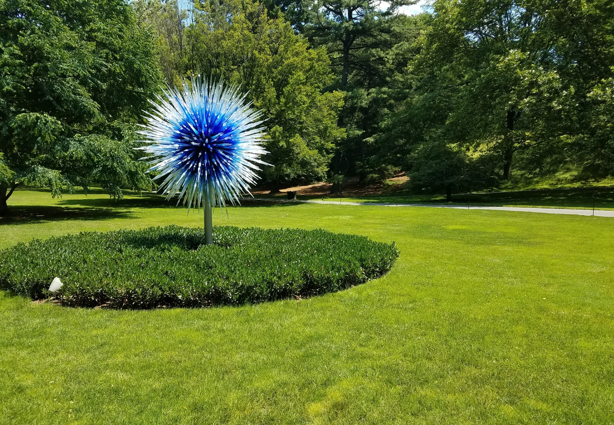 Dale Chihuly, Sapphire Star, 2010.
