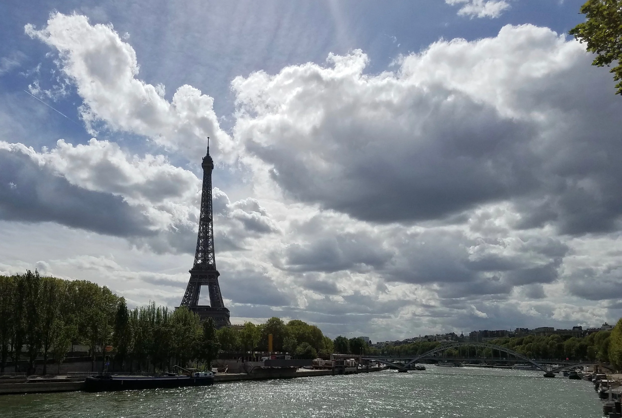Paris Spring FF.jpg