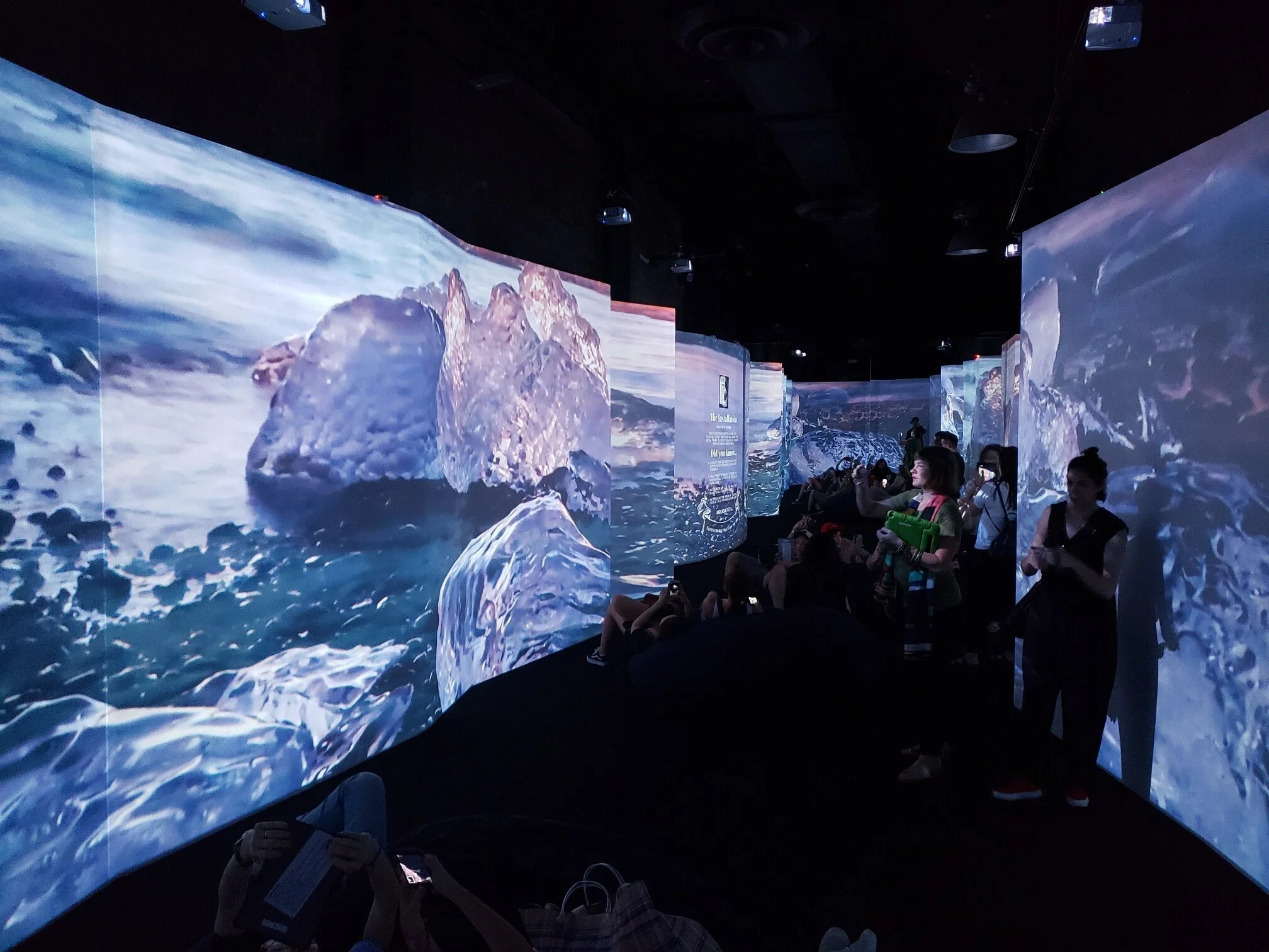 Arcadia Earth — Daryanani Law Group Blog