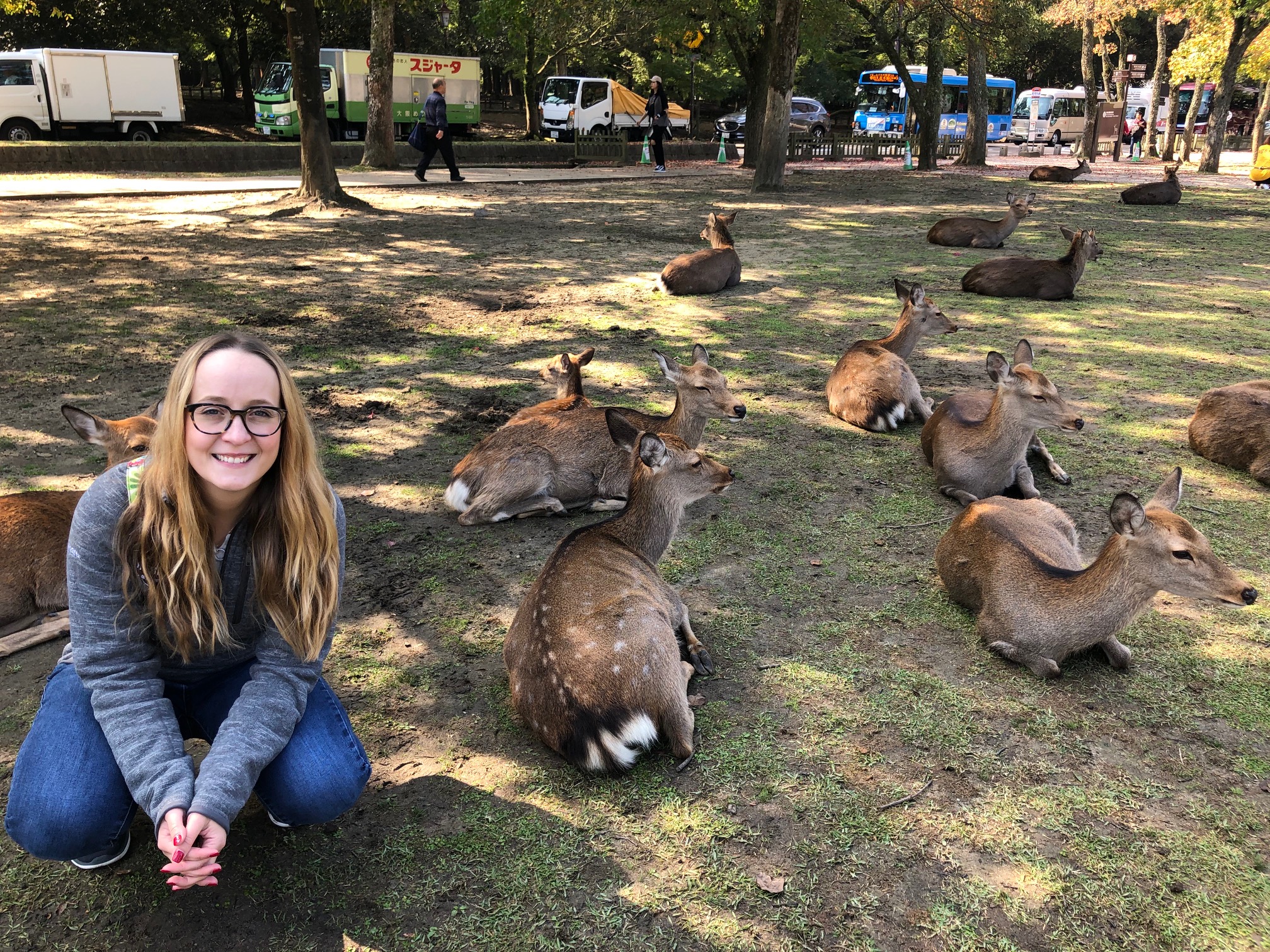 Nara Park Deer.jpeg