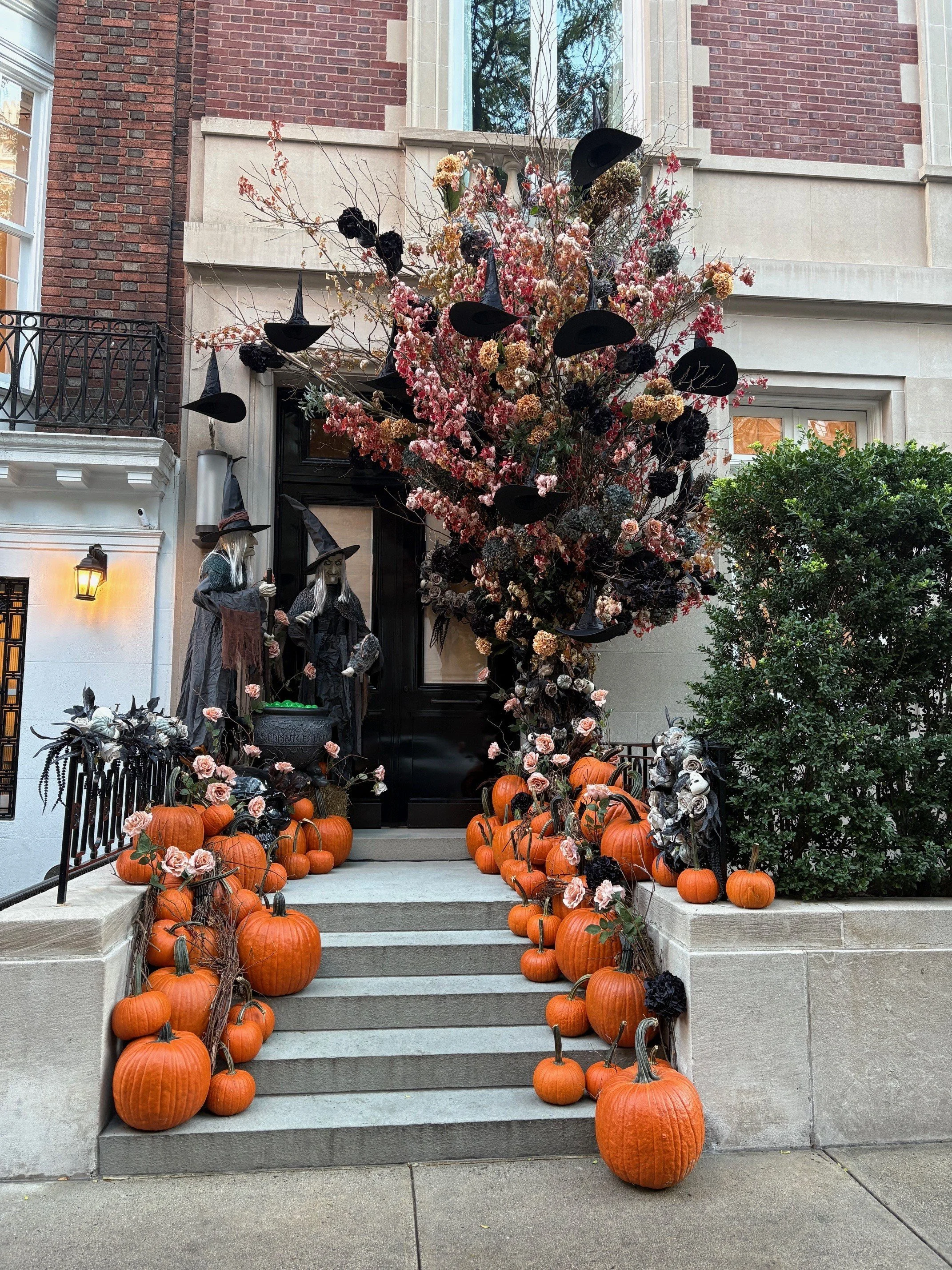 Halloween 1.jpg