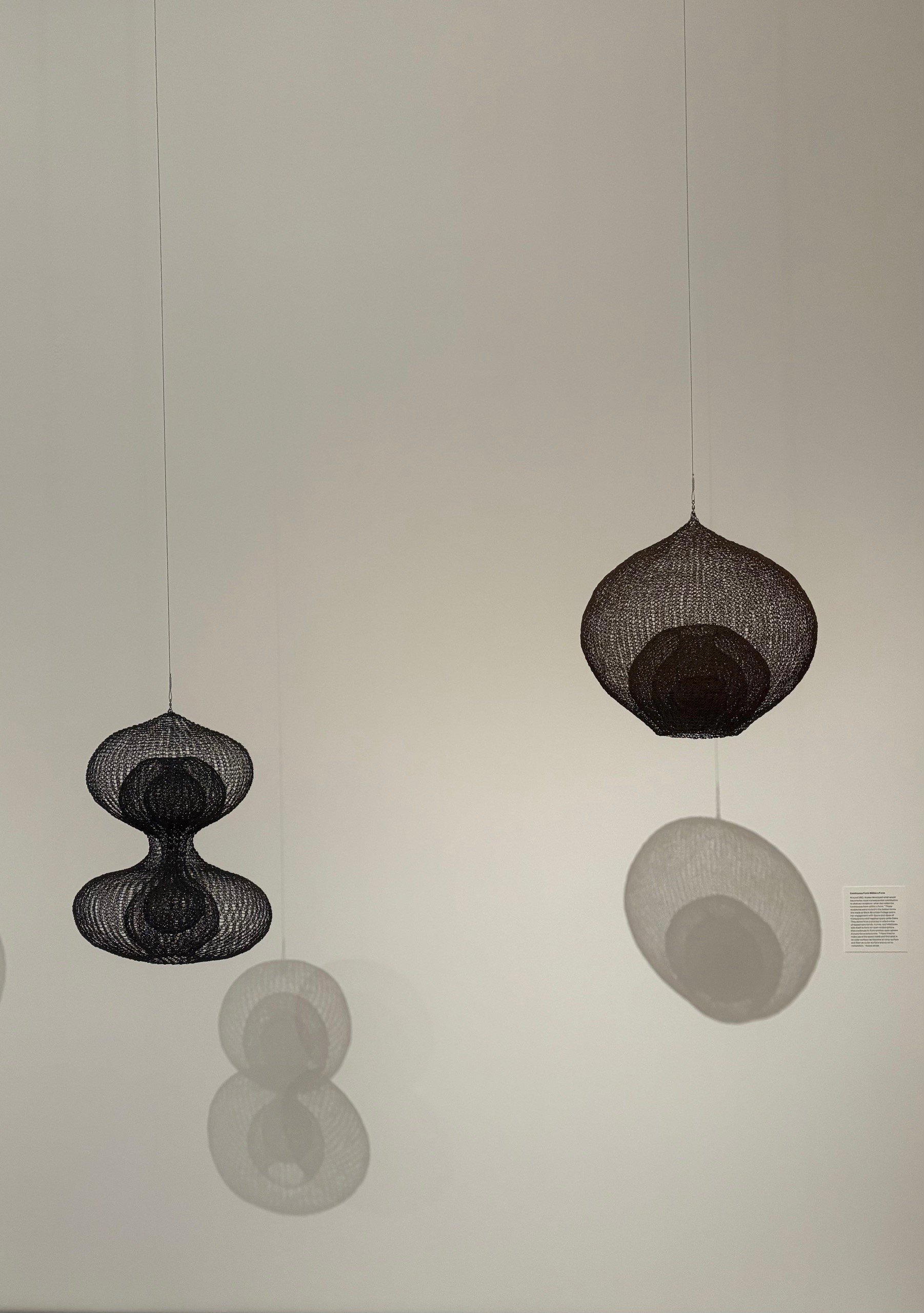 Ruth Asawa 1.jpg