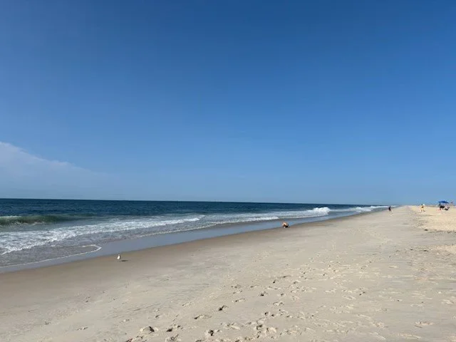 Summer 8.jpeg