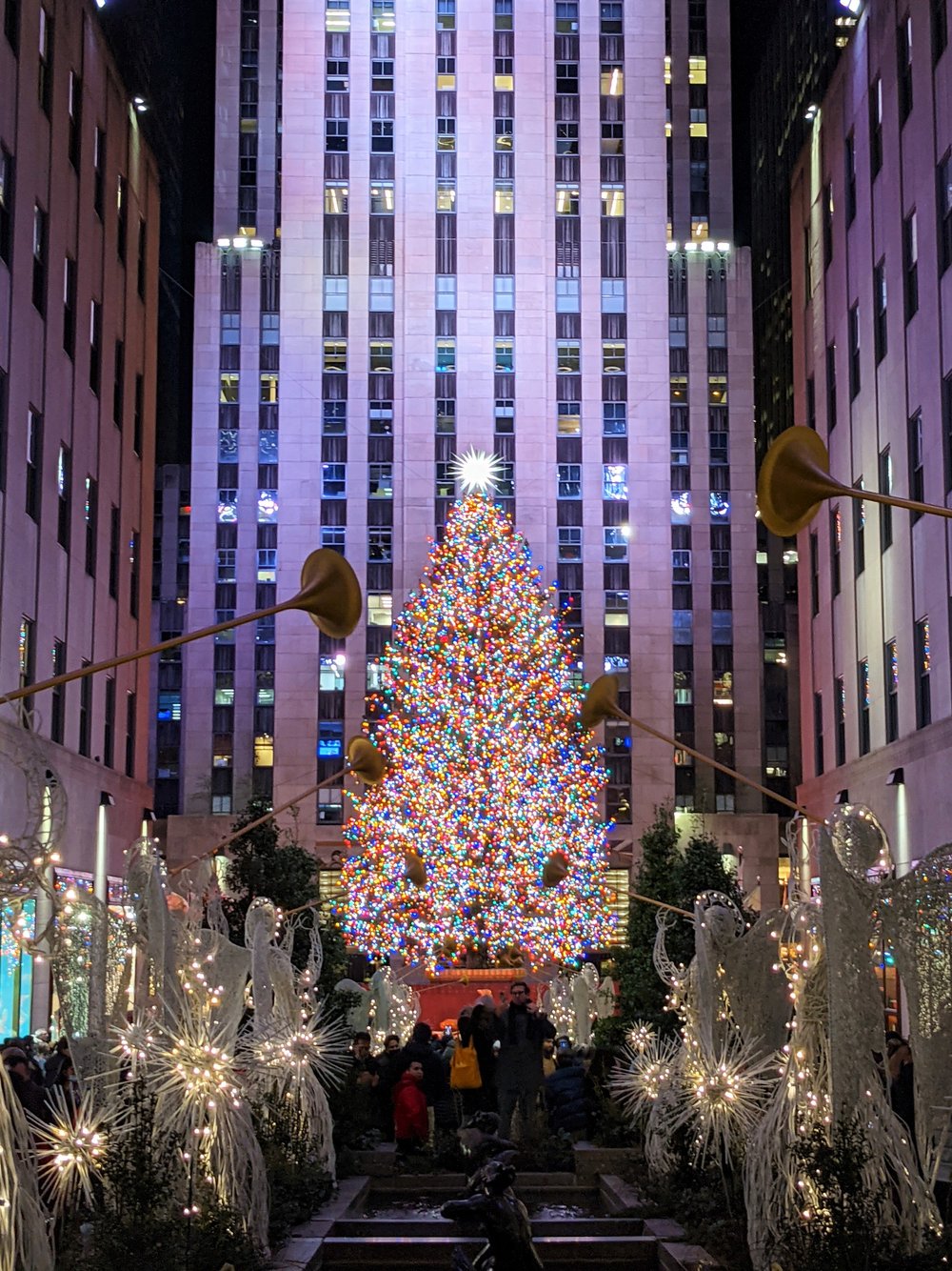 Rockefeller Center Christmas Tree — Daryanani Law Group, PC