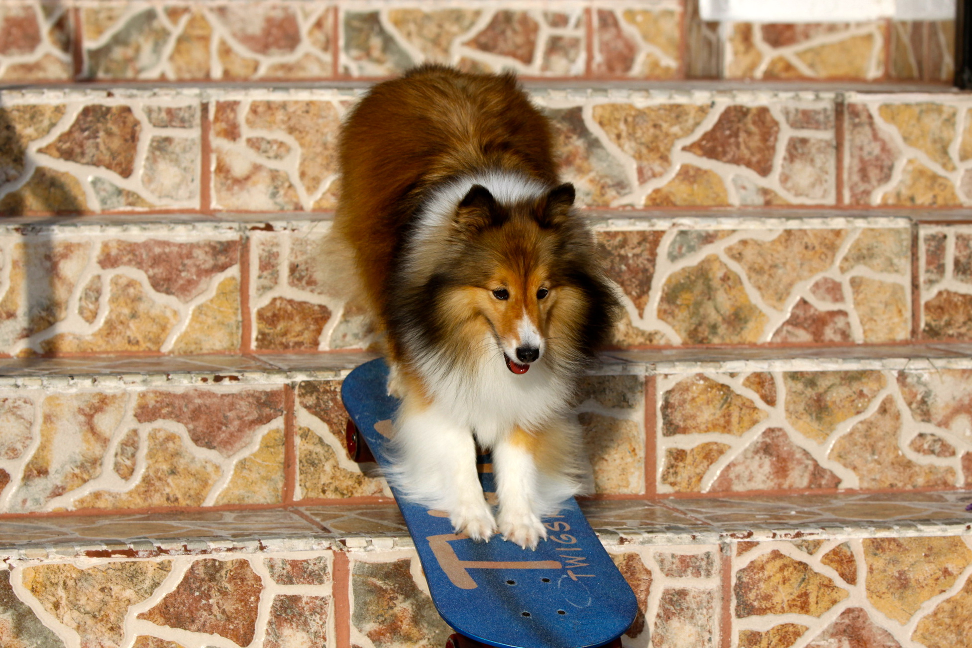 Twig skateboarding down steps.jpg