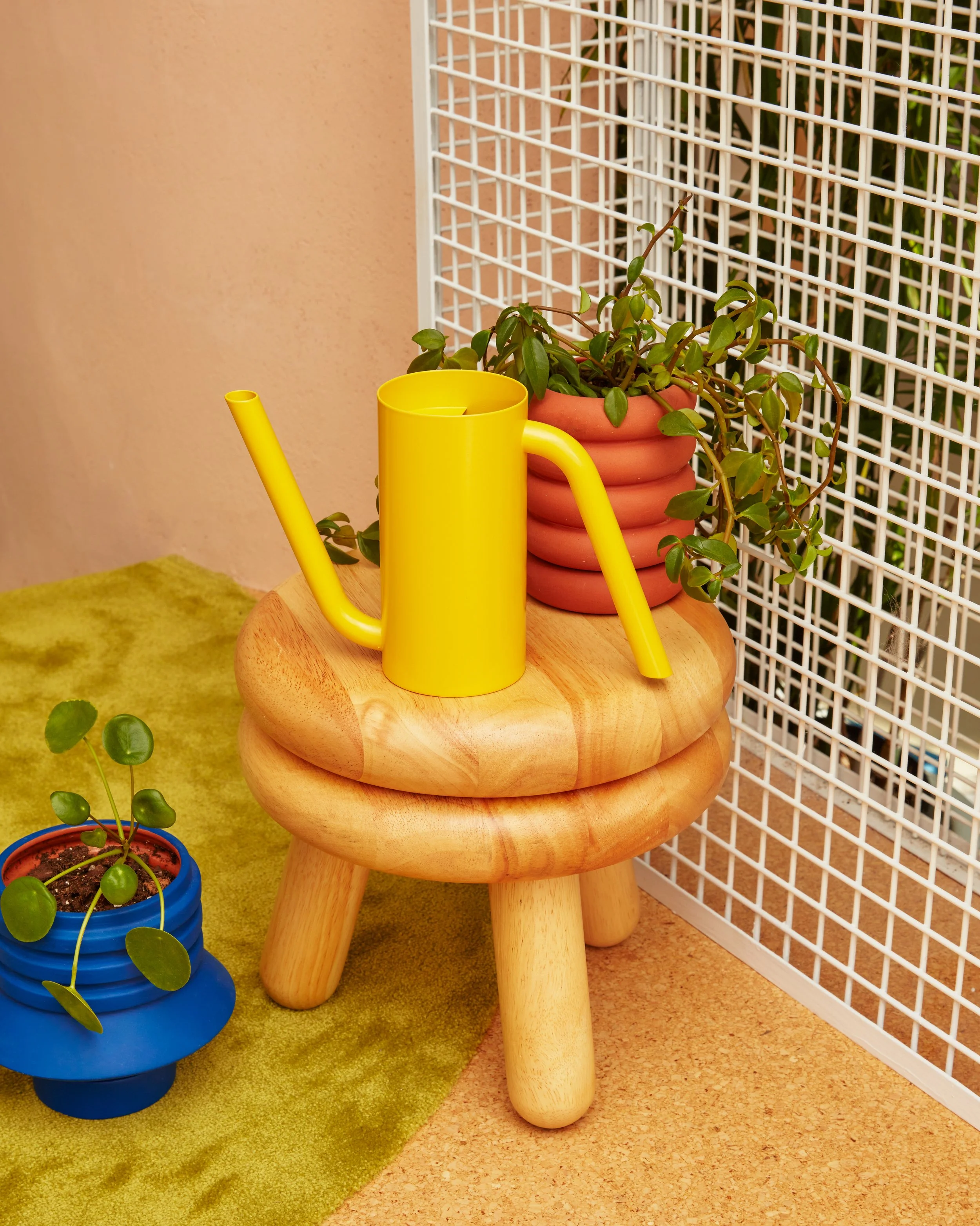 TangoWateringCan-Yellow-24FA-Lifestyle-EmmaFishman-01-HJPOTCSY.jpg