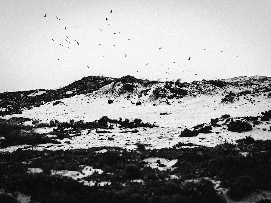Alentejo. Portugal, 2015