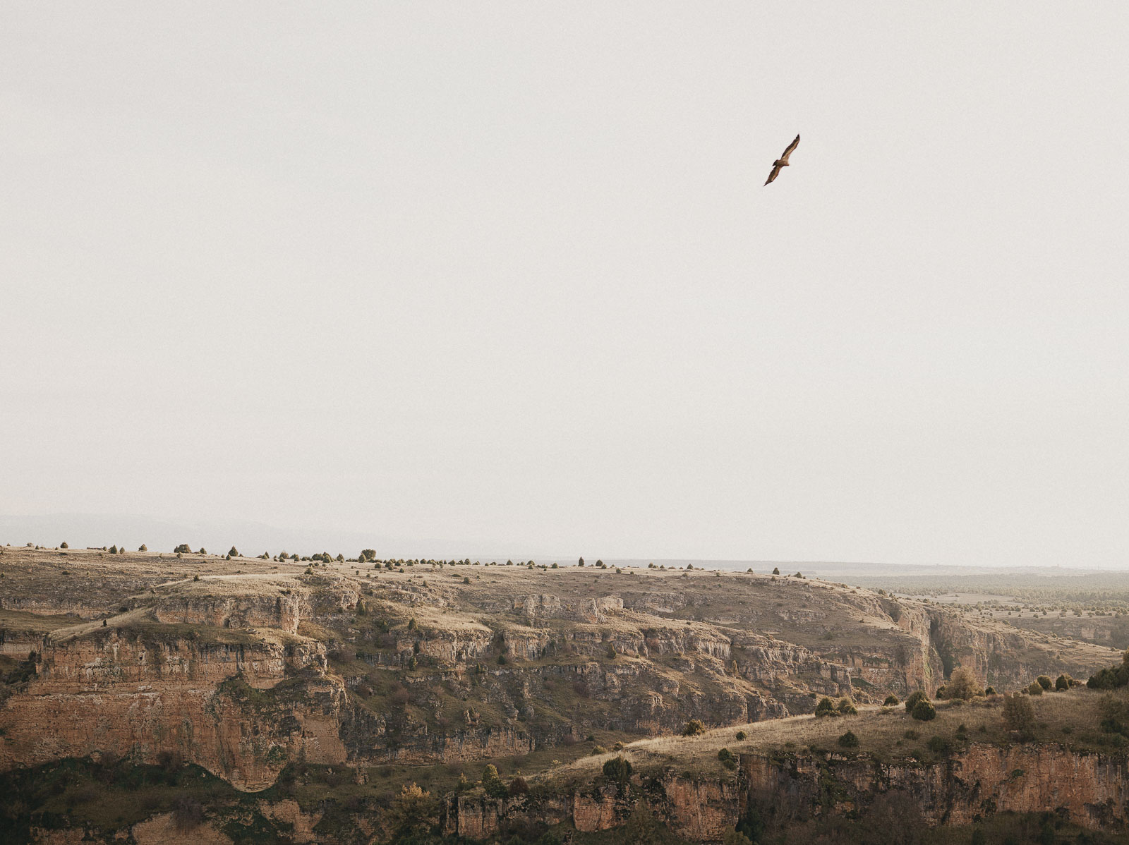 Hoces Del Duratón, Segovia 2019.